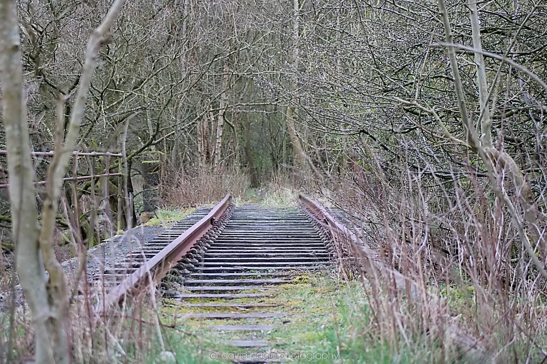 20190401 115939 Cardenden 0019.jpg
