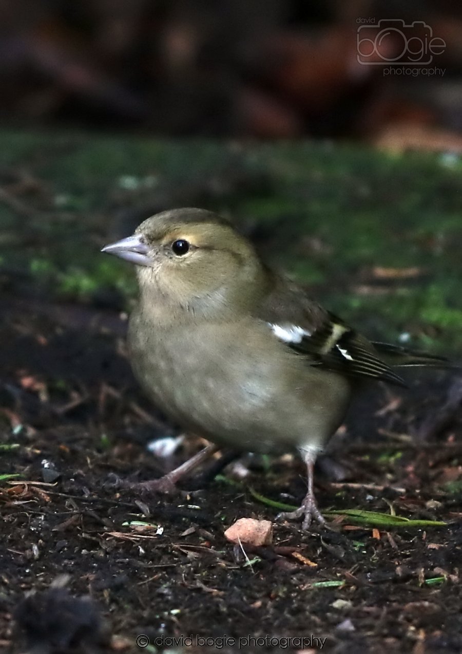 20260306 114556 Dunnikier 0251.jpg