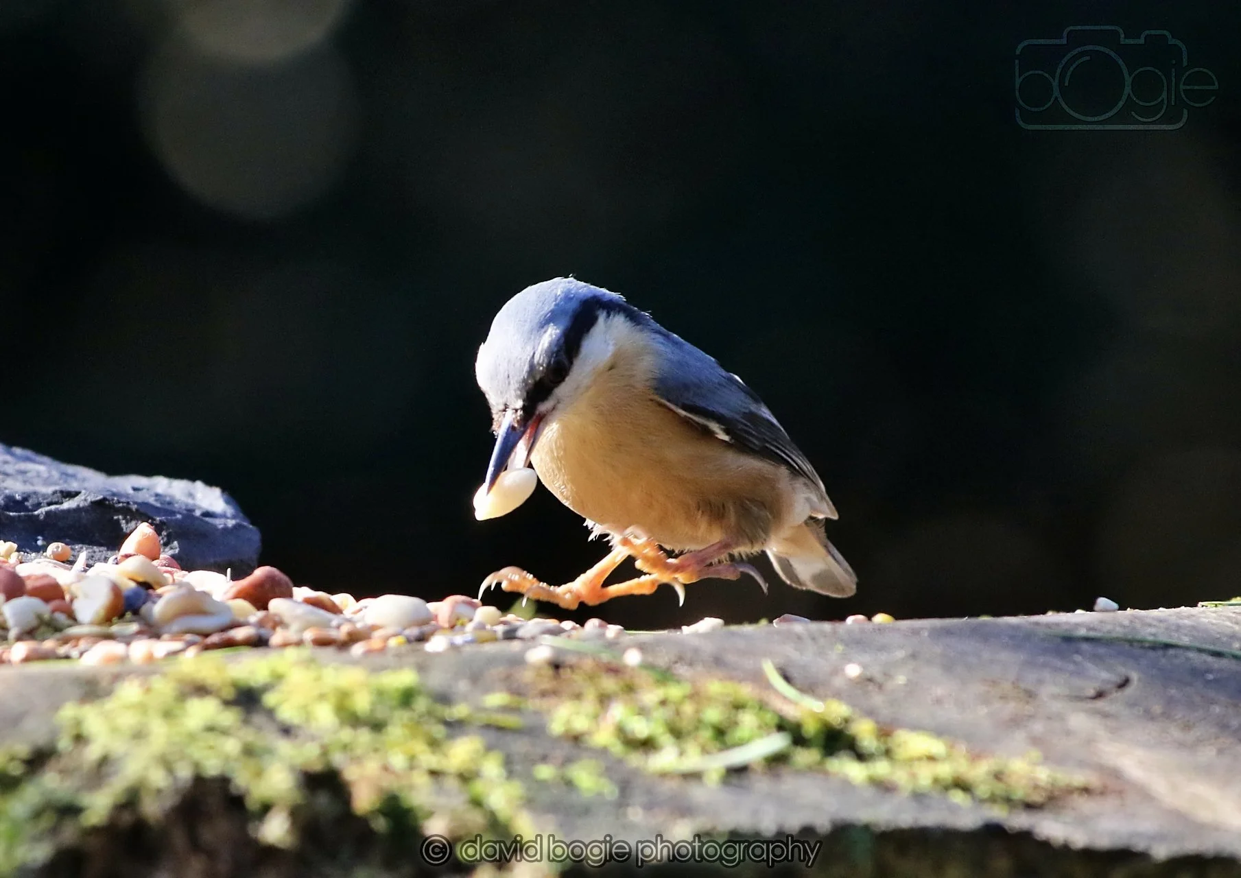 20260320 143035 Ravenscraig 0305.jpg