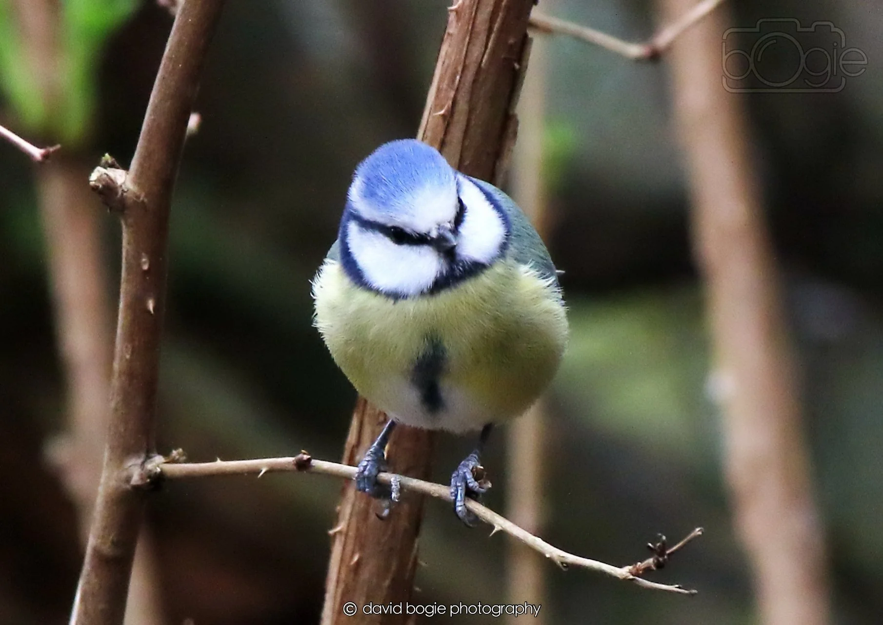 20260326 112000 Silverburn 0035.jpg