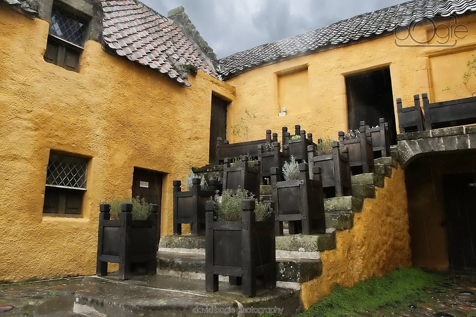 20260401 124234 Culross 0160r.jpg