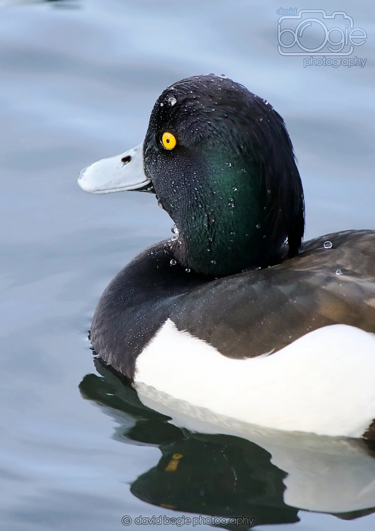 20260319 133531 Beveridge Park 0499.jpg