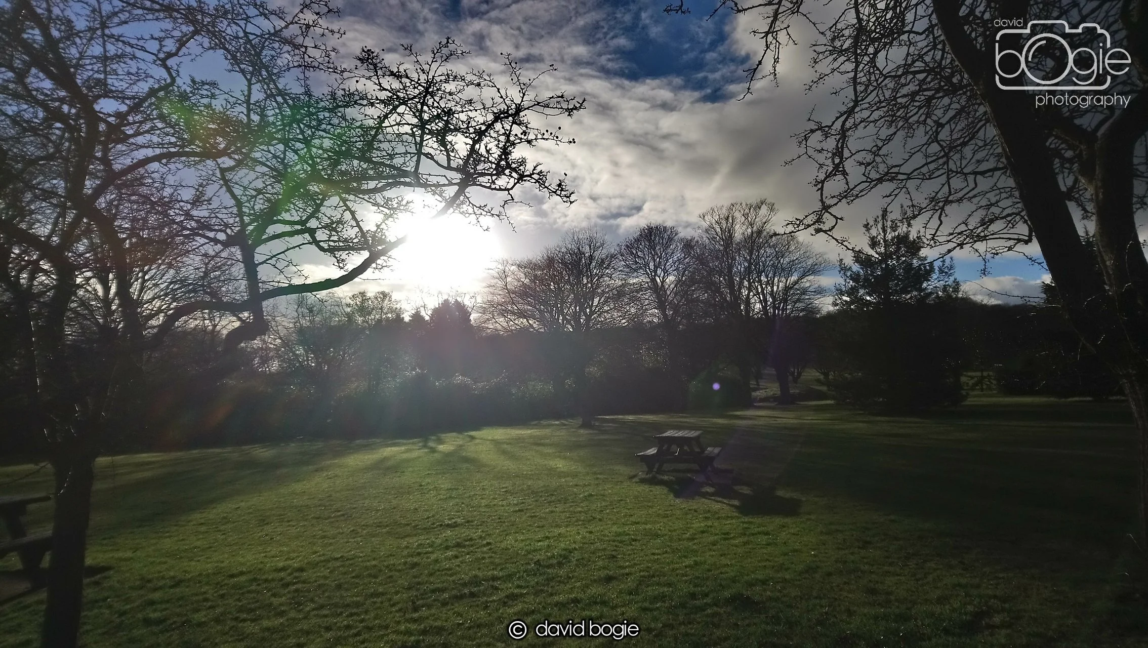 20190101 122419 Beveridge 0005.JPG