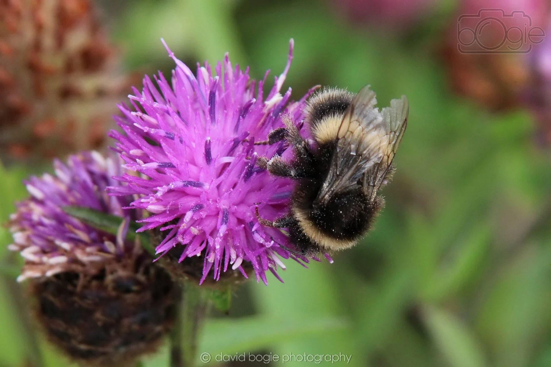 20210729 Lochore 10.jpg