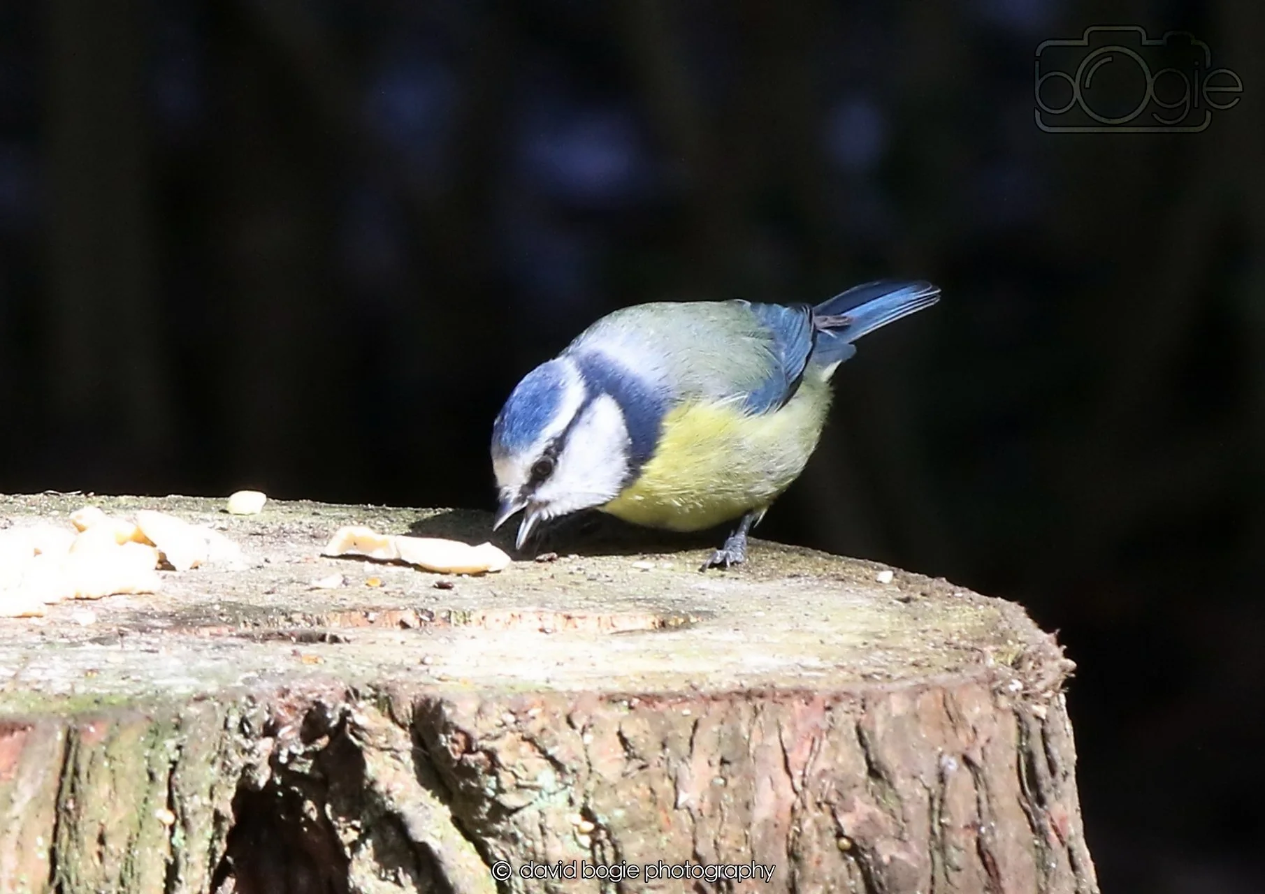 20260330 115242 Dunnikier 0247.jpg