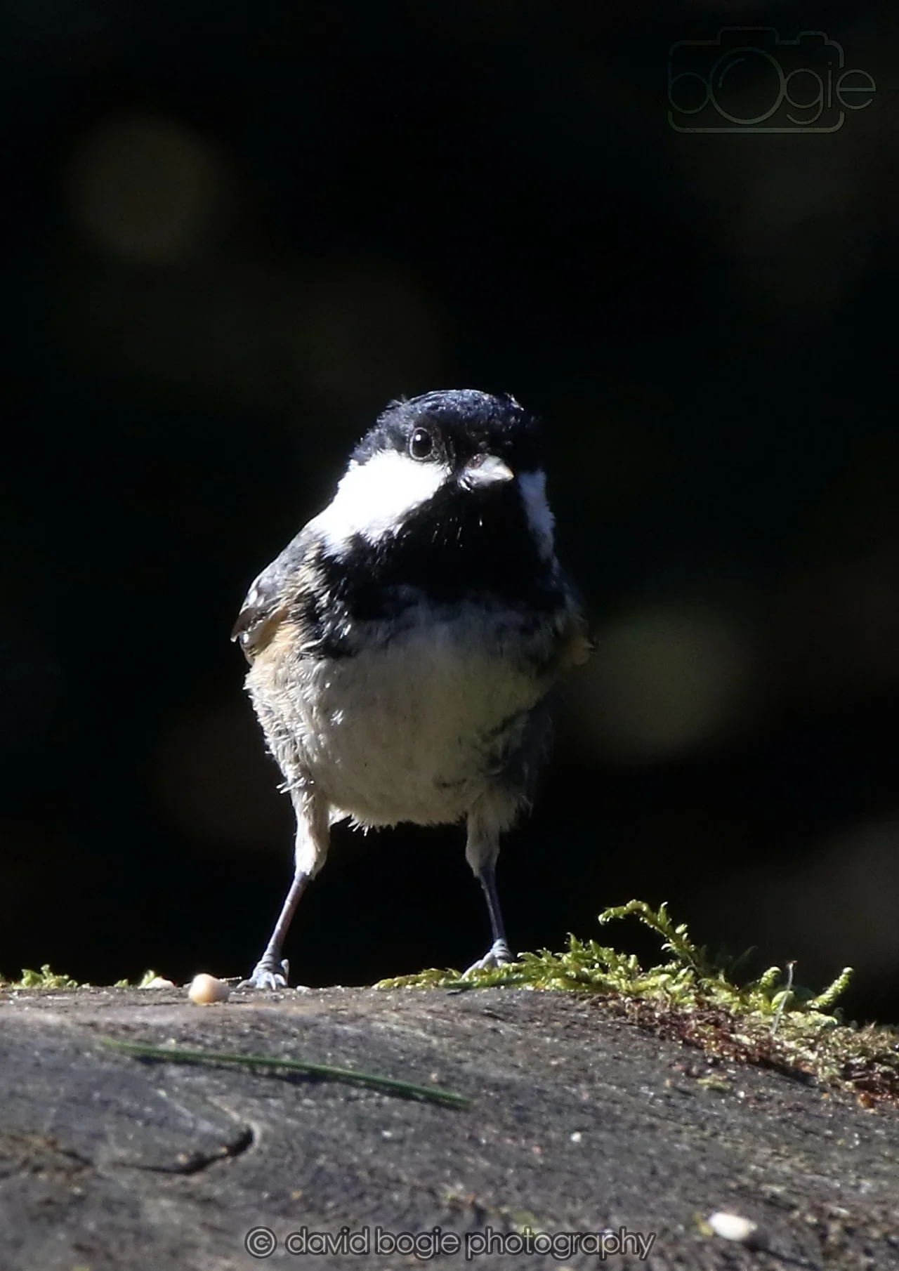 20260320 143652 Ravenscraig 0361.jpg