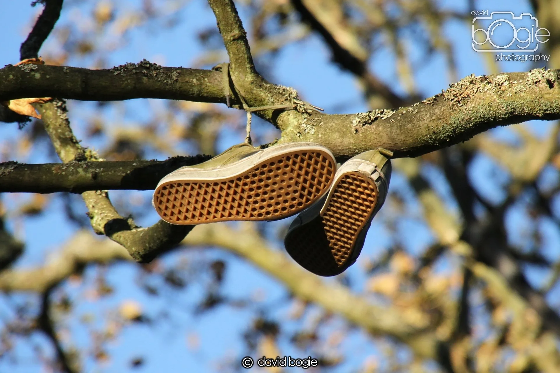 20231022  Beveridge Park  162230 0028.jpg