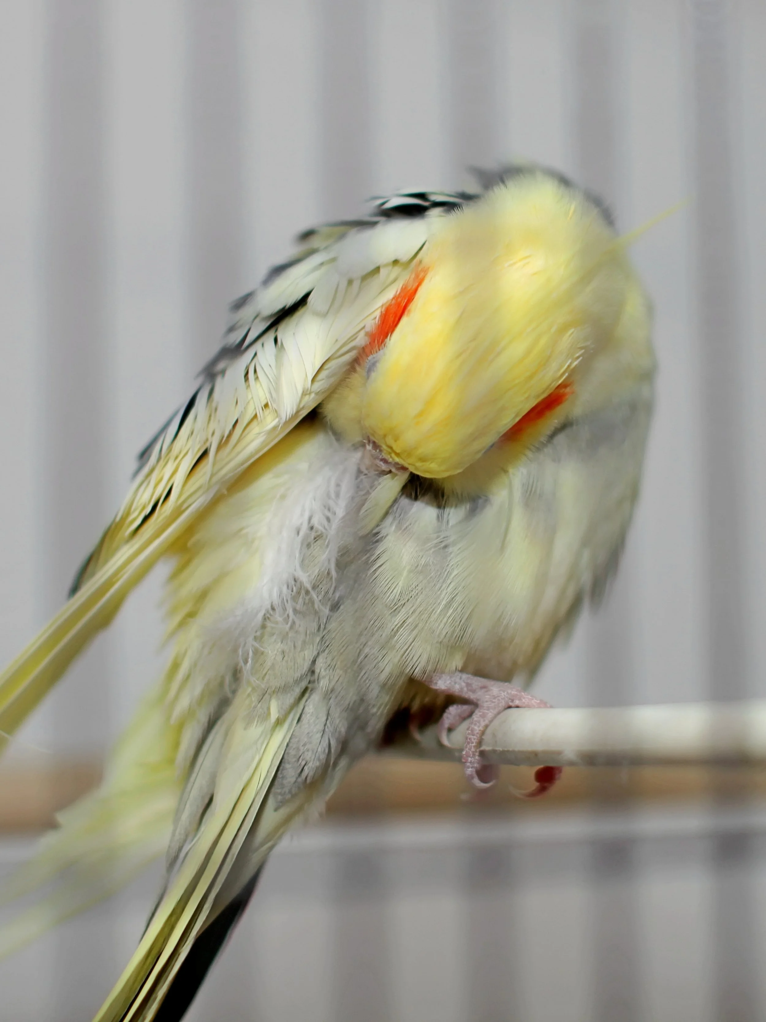 20251117 124914 IMG_0027.JPG