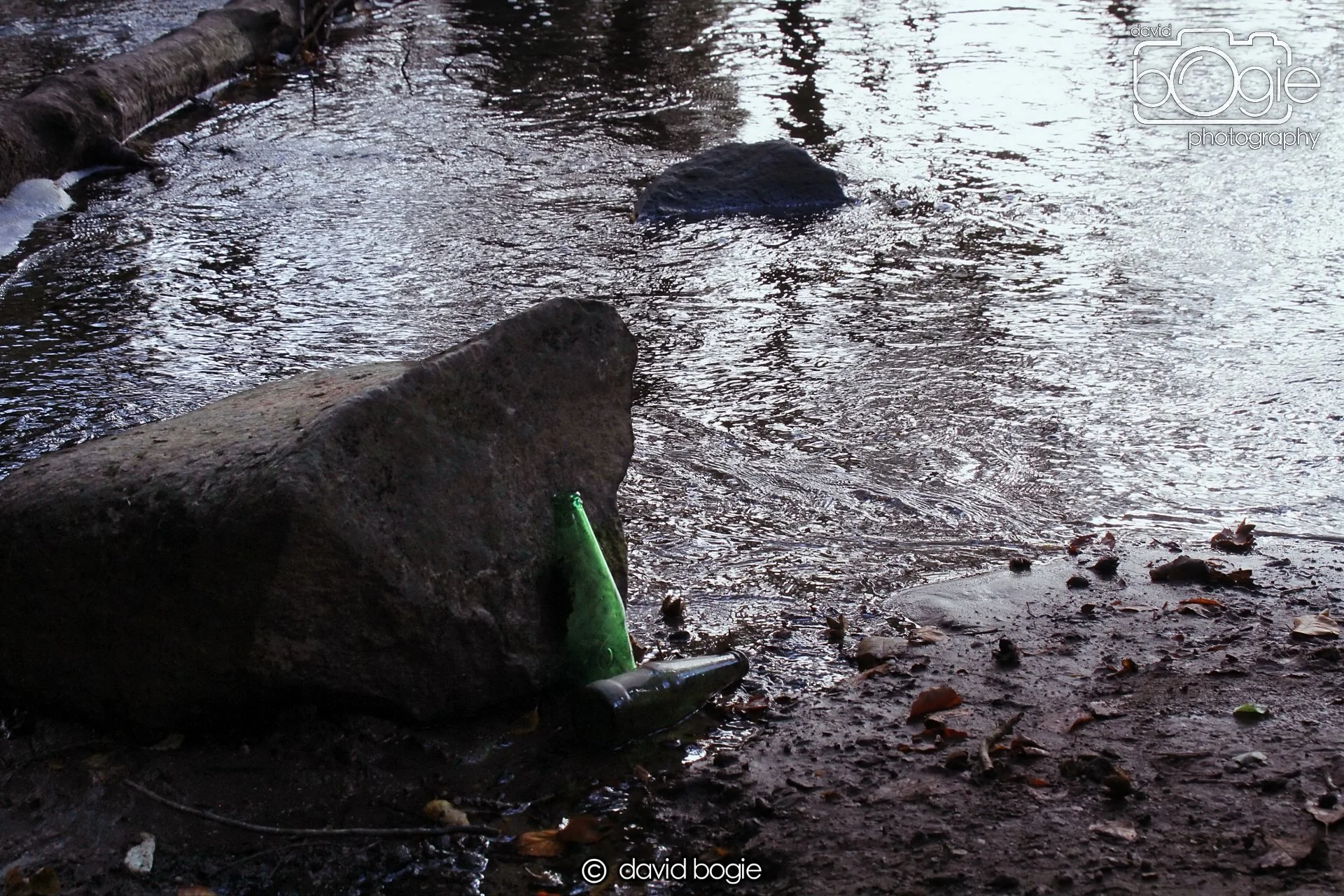 20231016 Beveridge 142014 0227.jpg