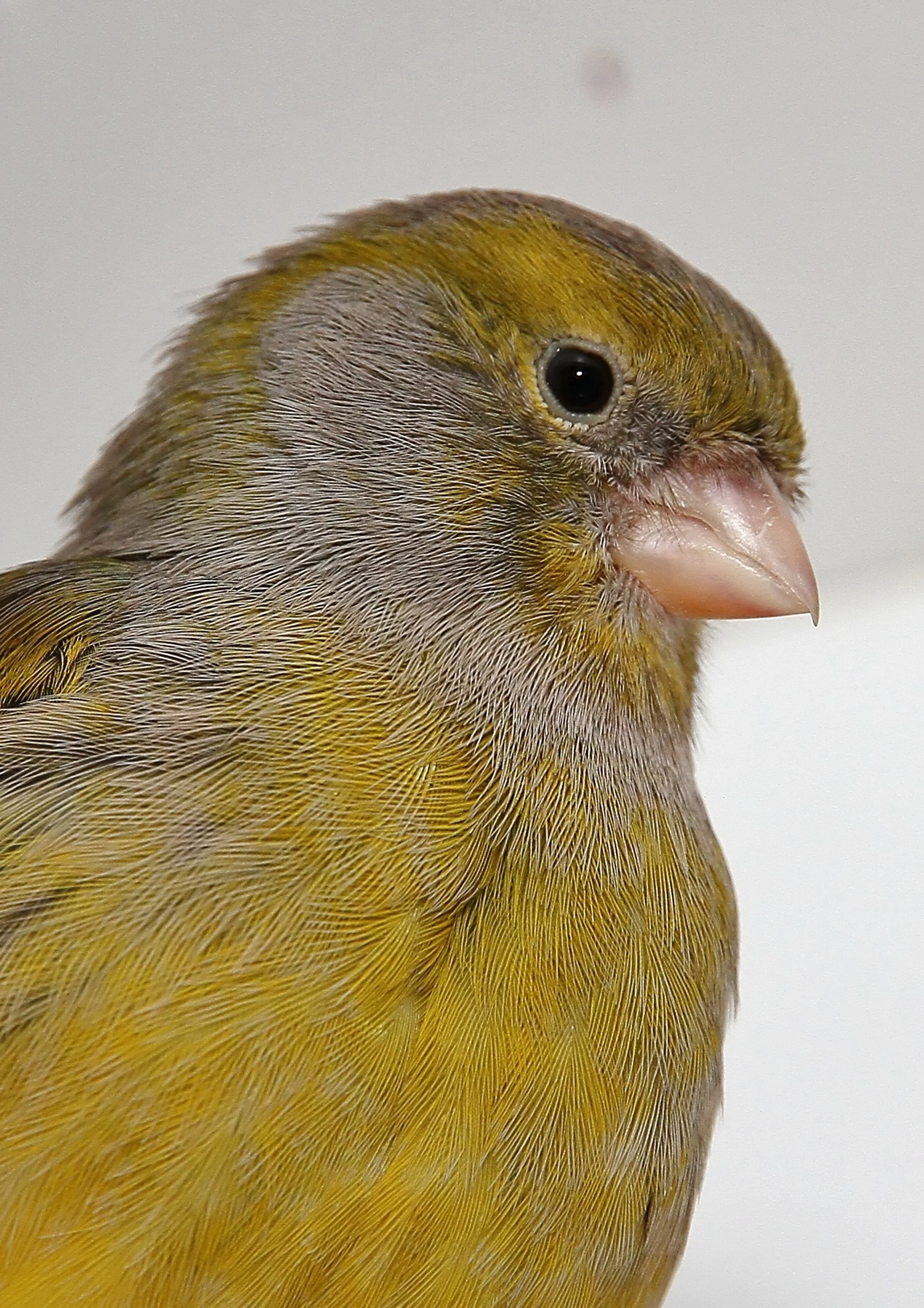 20260331 111816 K&S 0466.jpg