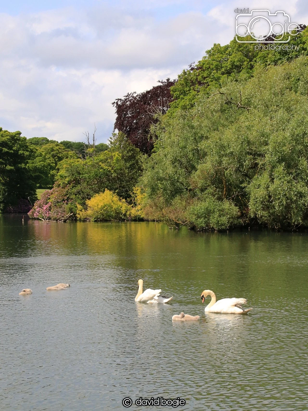 20250613 114935 Beveridge 0037.JPG