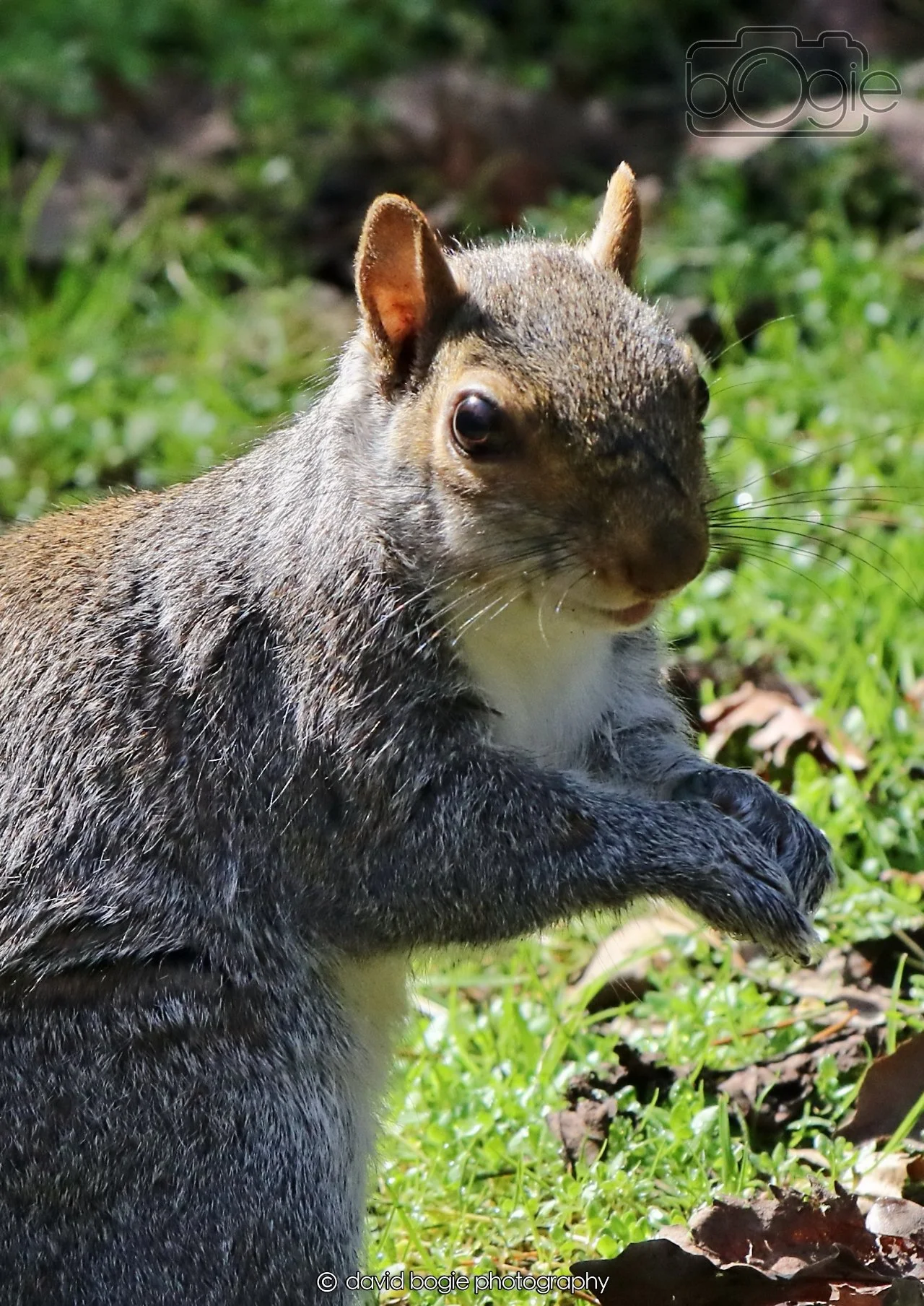 20260402 123327 Ravenscraig 0410.jpg