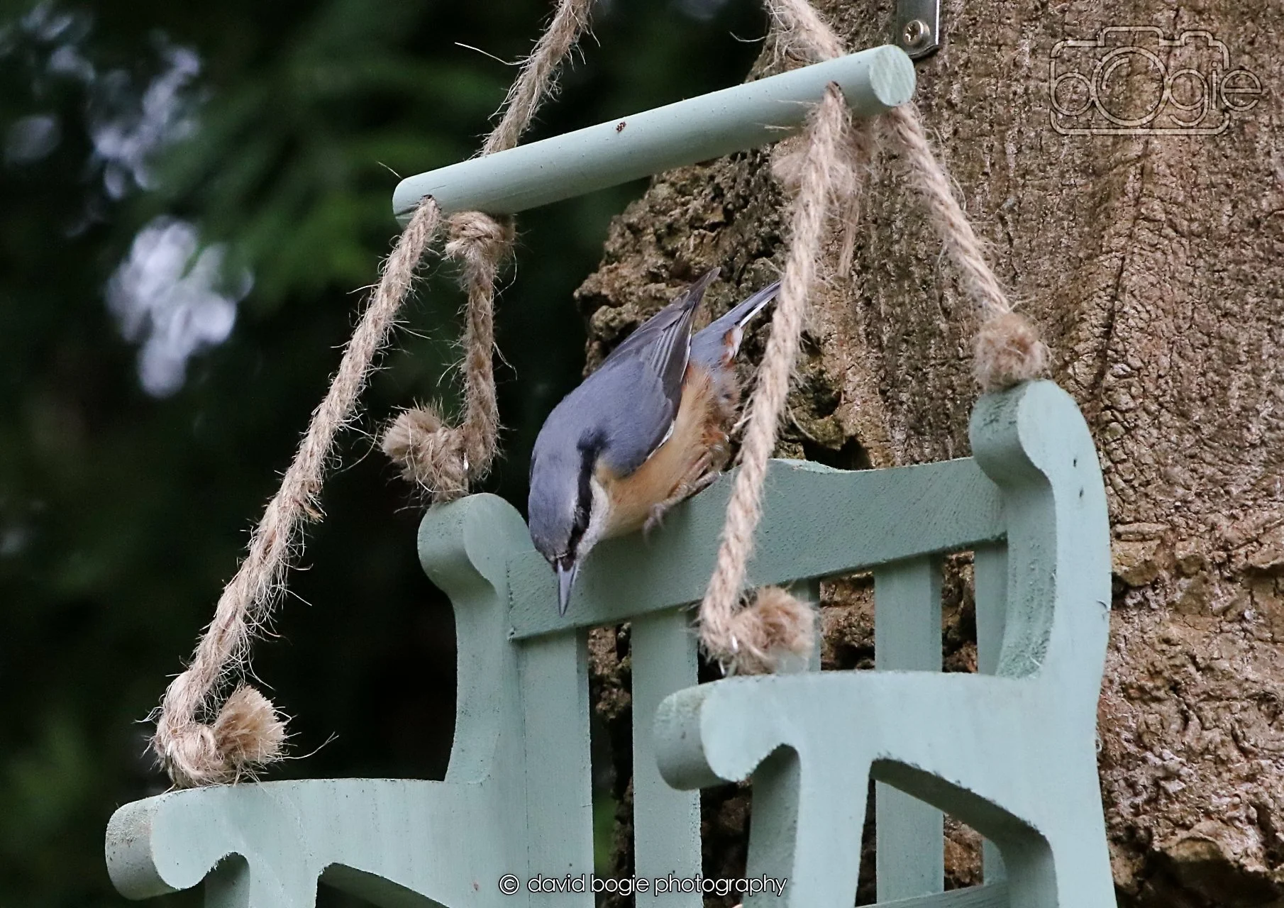 20260330 115949 Dunnikier 0330.jpg