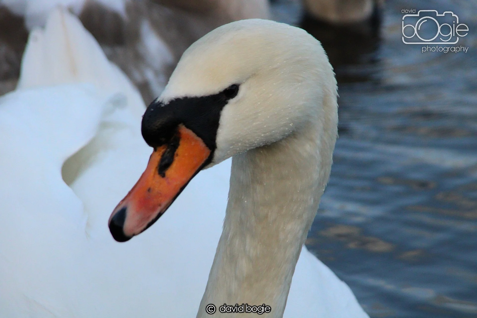 20220101 Beveridge Park 30 .JPG