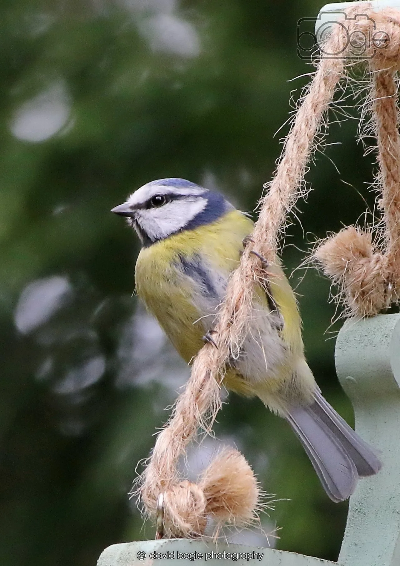 20260403 130305 Dunnikier 0331.jpg