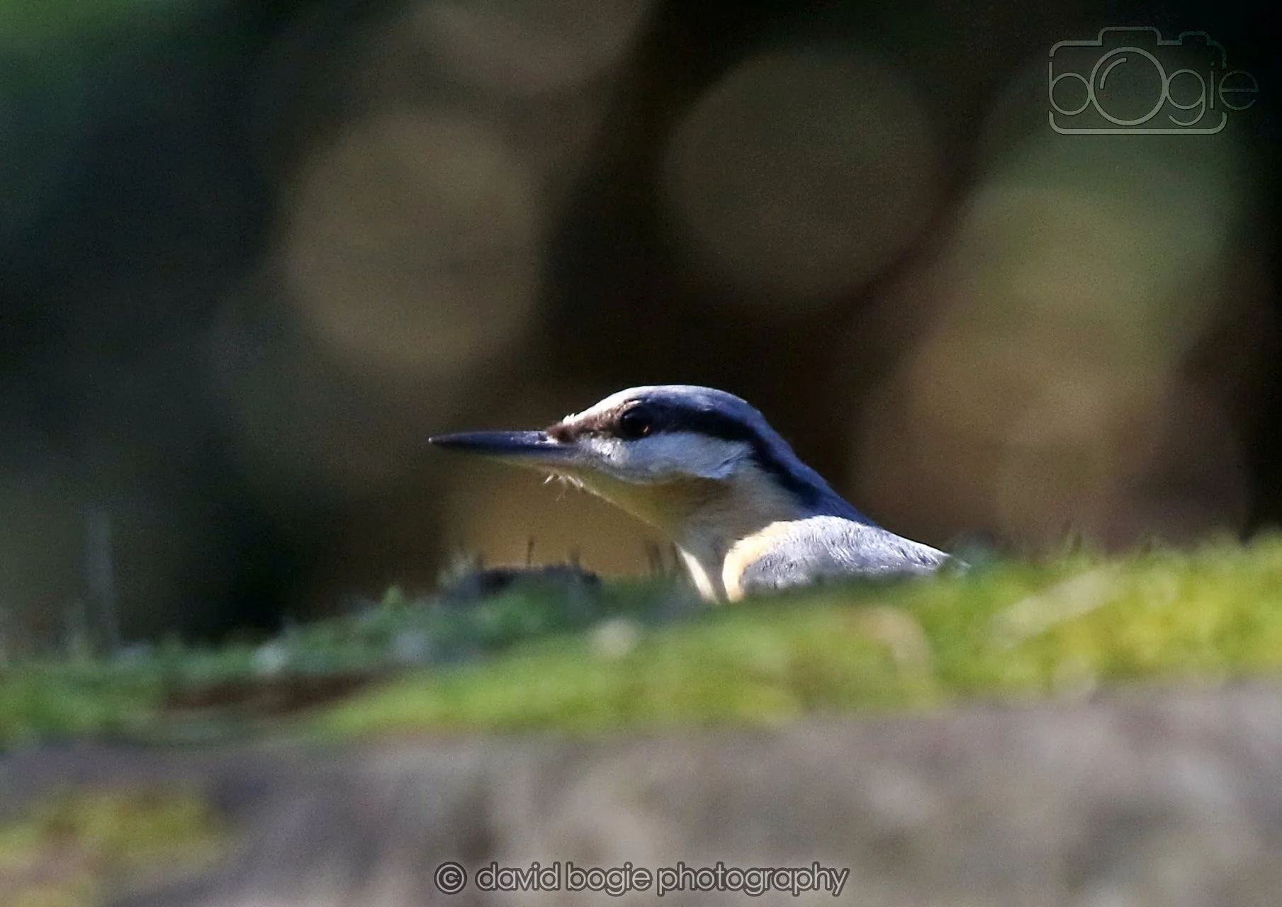 20260320 142054 Ravenscraig 0220.jpg