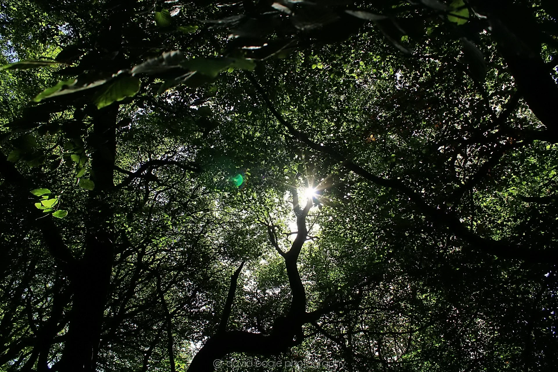20190913 110459 Dunnikier 0003.jpg