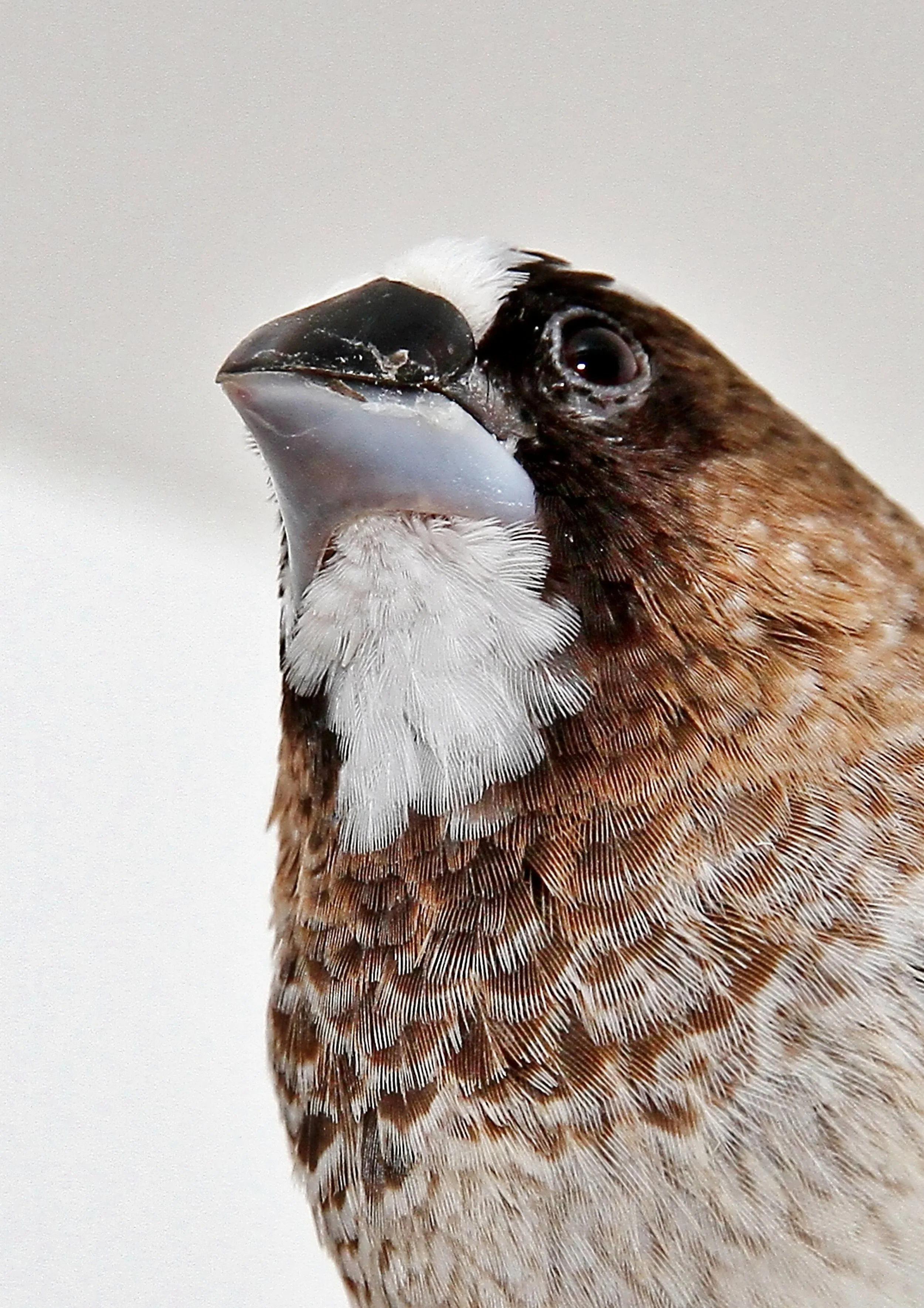 20260331 111843 K&S 0475.jpg