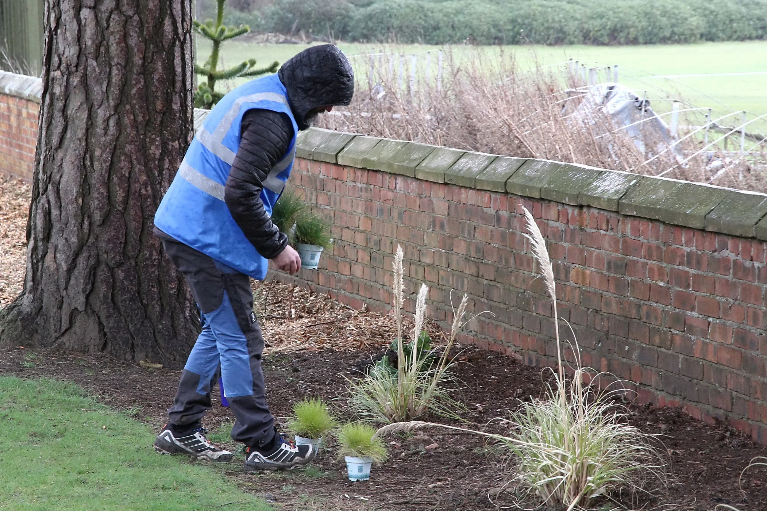 20260403 131753 Dunnikier Sensory Garden 0065.jpg