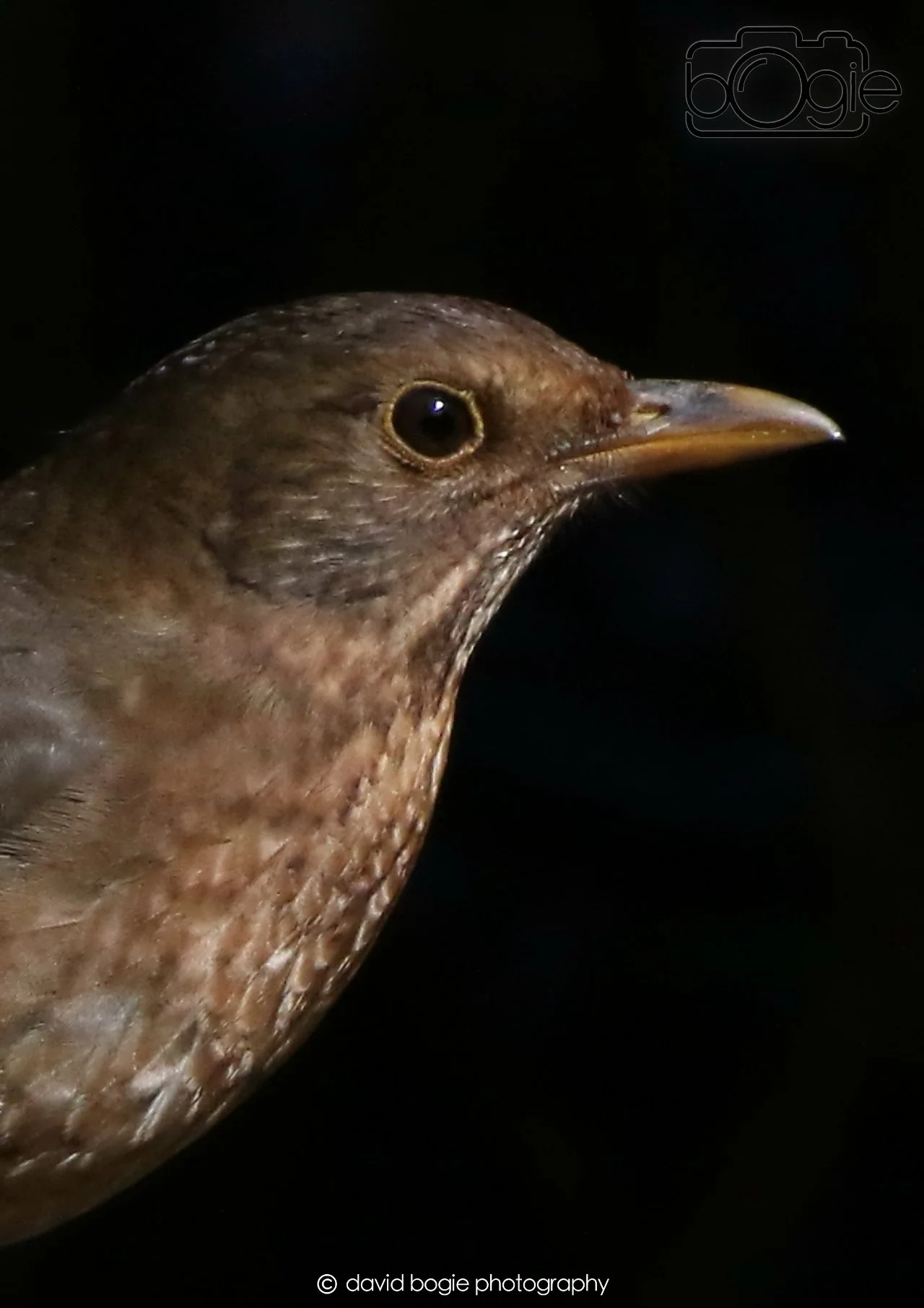 20260403 121351 Dunnikier 0053.jpg