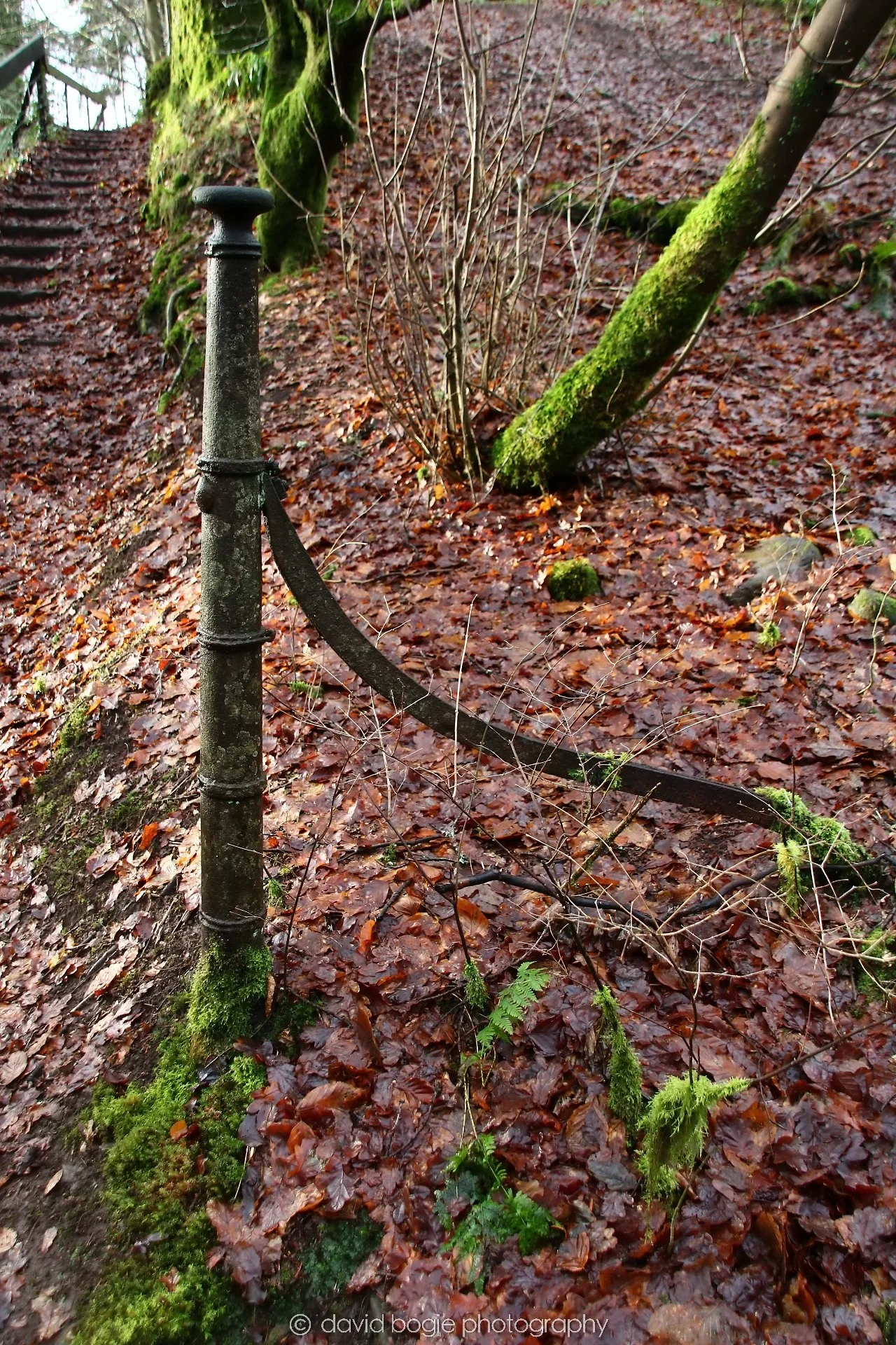 YEAR20250114 140446 Rumbling Bridge 0054.jpg