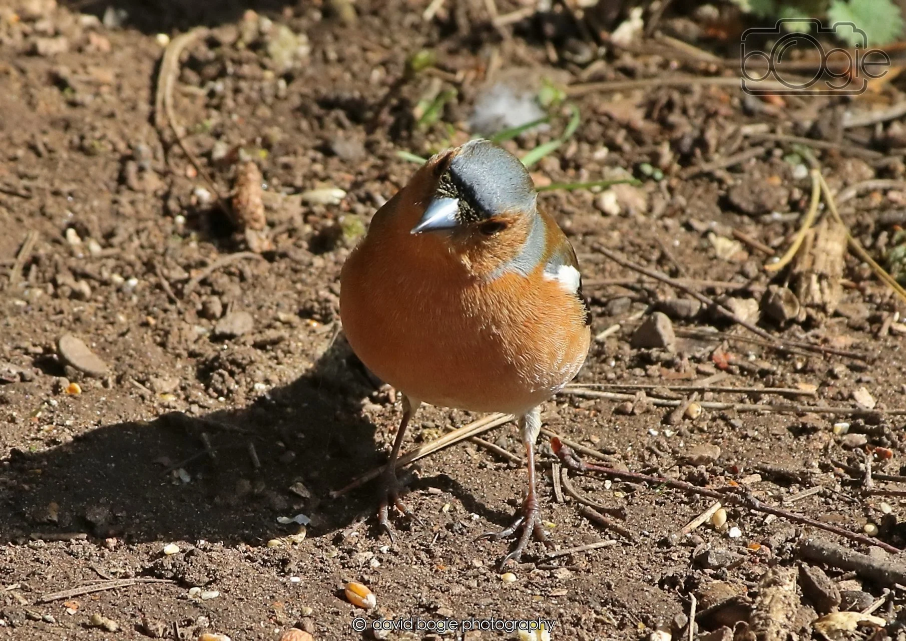 20260402 101711 Silverburn 0136.jpg