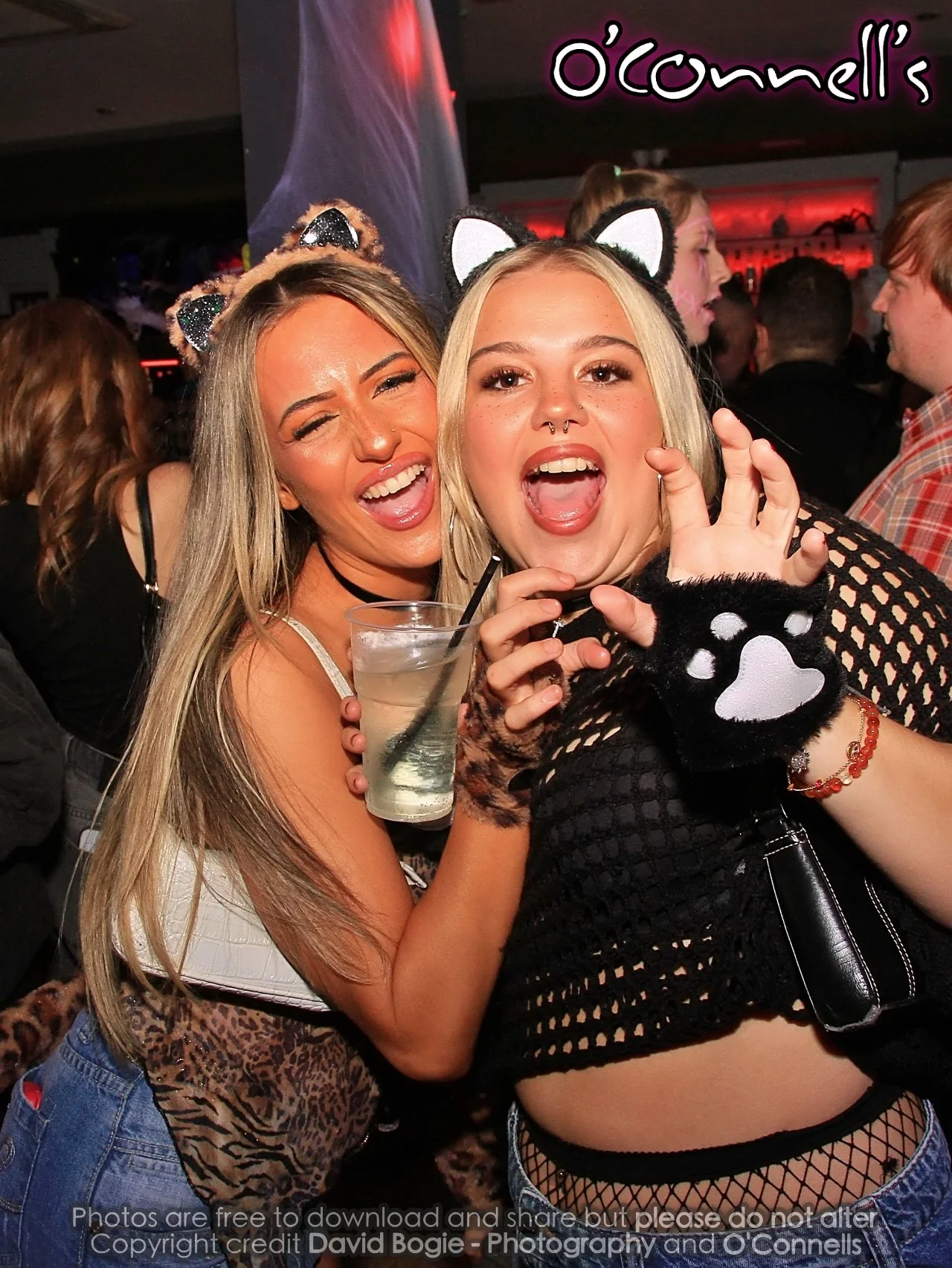 20241026 233103 OConnell's 0011.JPG