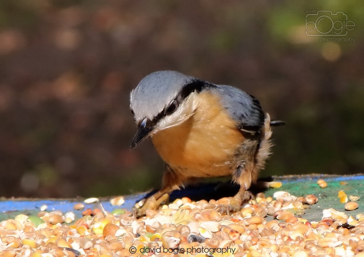 20260306 115532 Dunnikier 0350.jpg