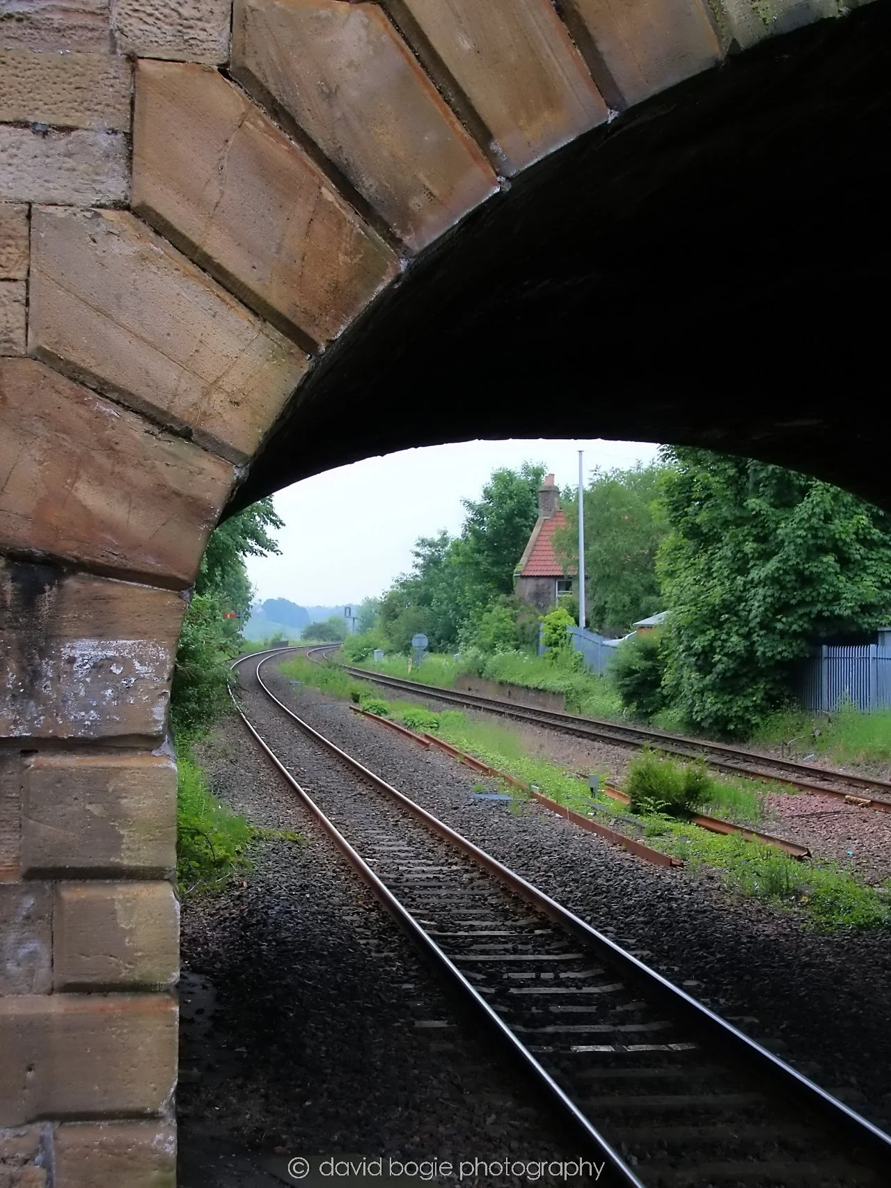 YEAR20240531 115203 Cupar 0197.jpg