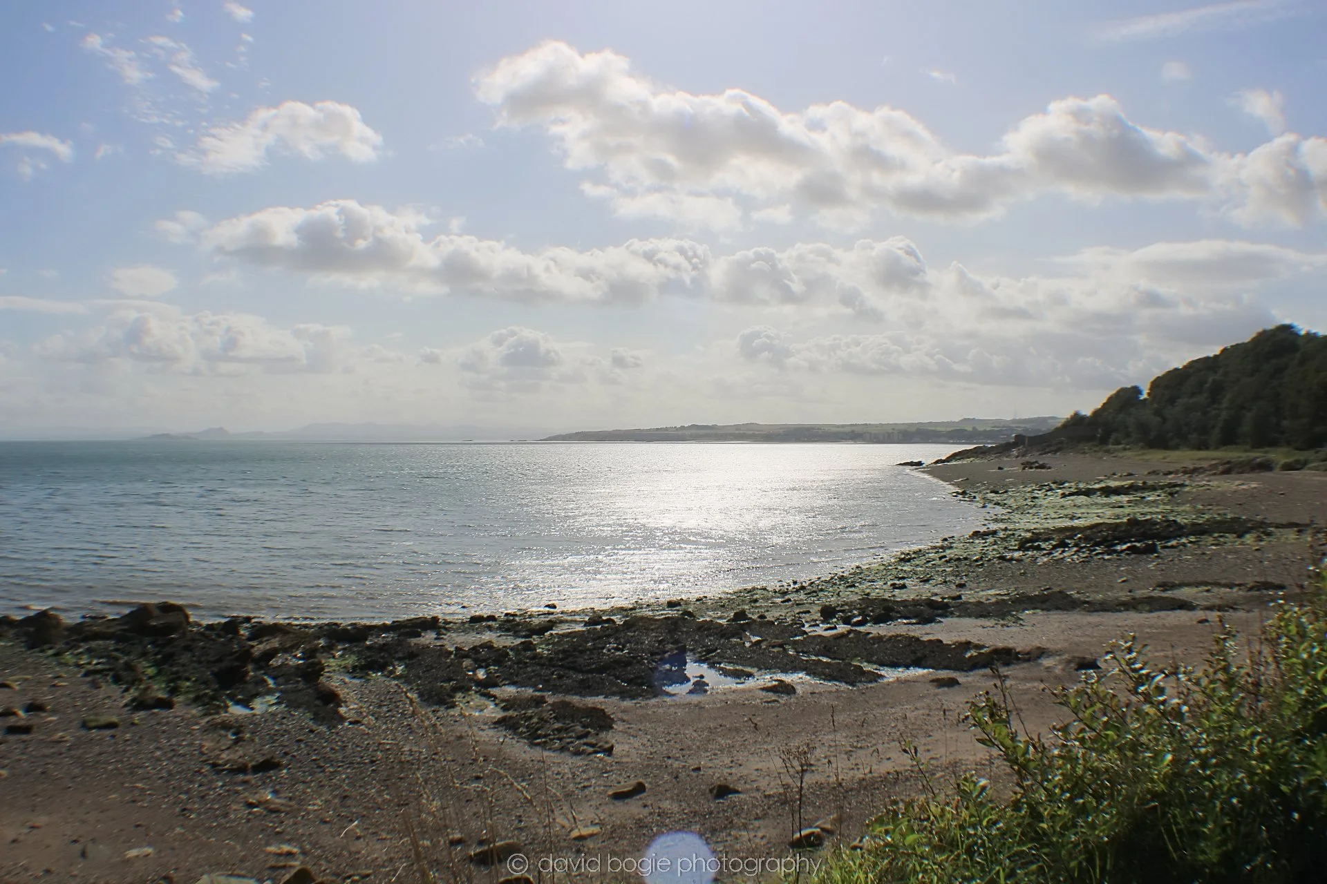 20190905 145535 Ravenscraig 0009.jpg
