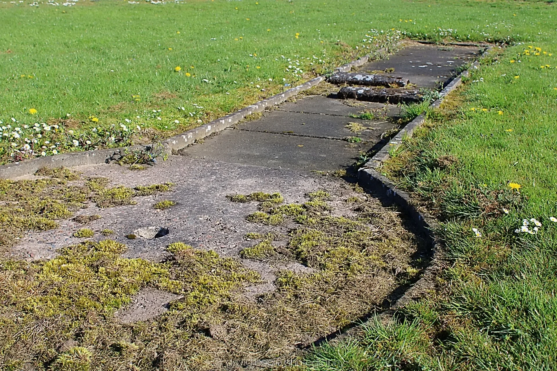 20190425 083453 Cardenden 0023.jpg