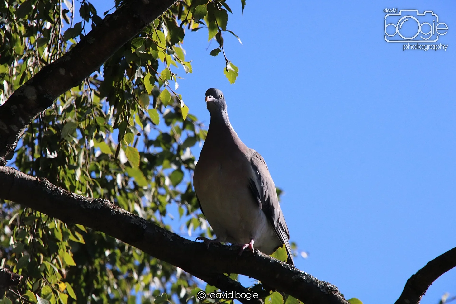 20240918 115824 Beveridge 0181.JPG