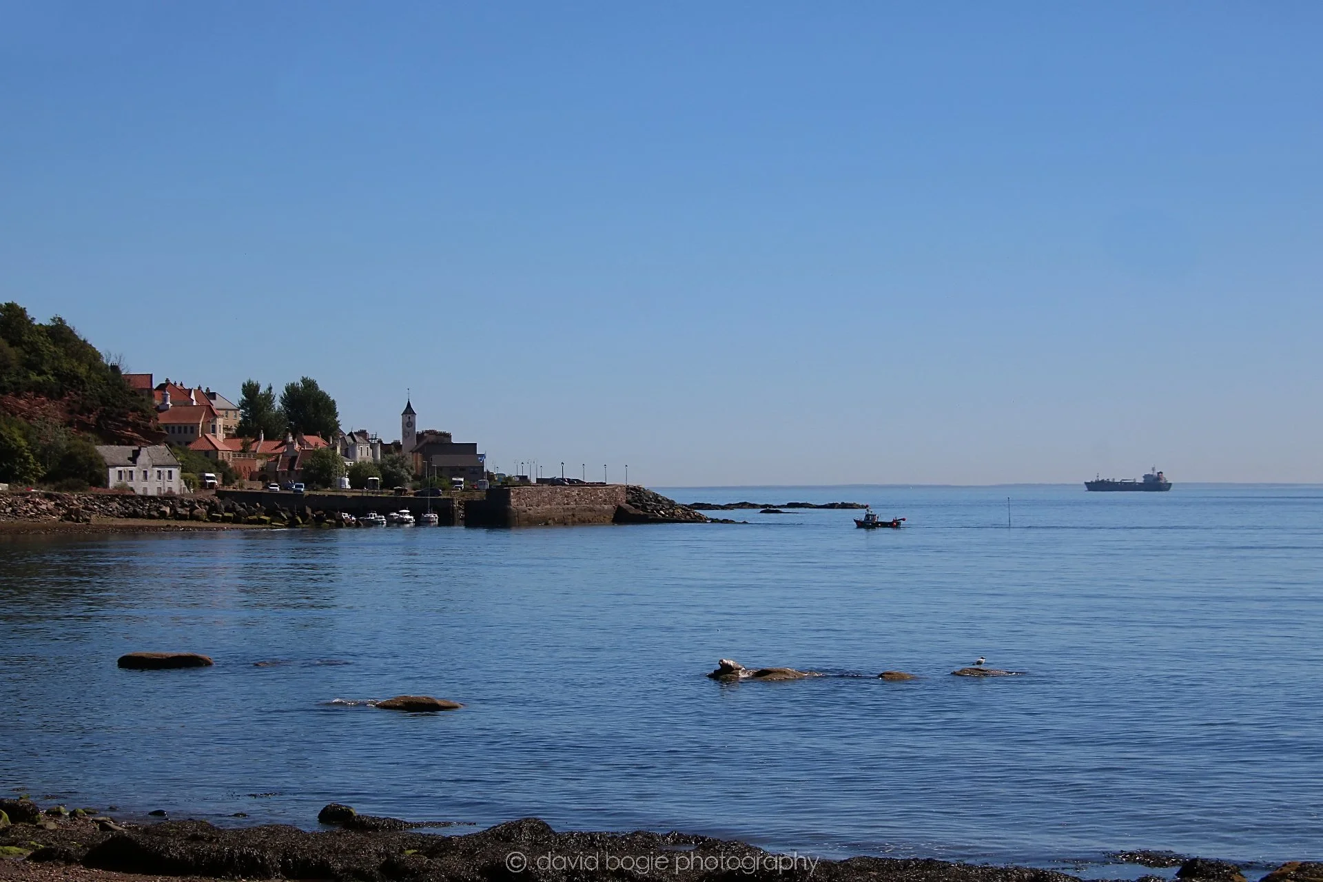 YEAR20220820 113358 Wemyss 0011.jpg