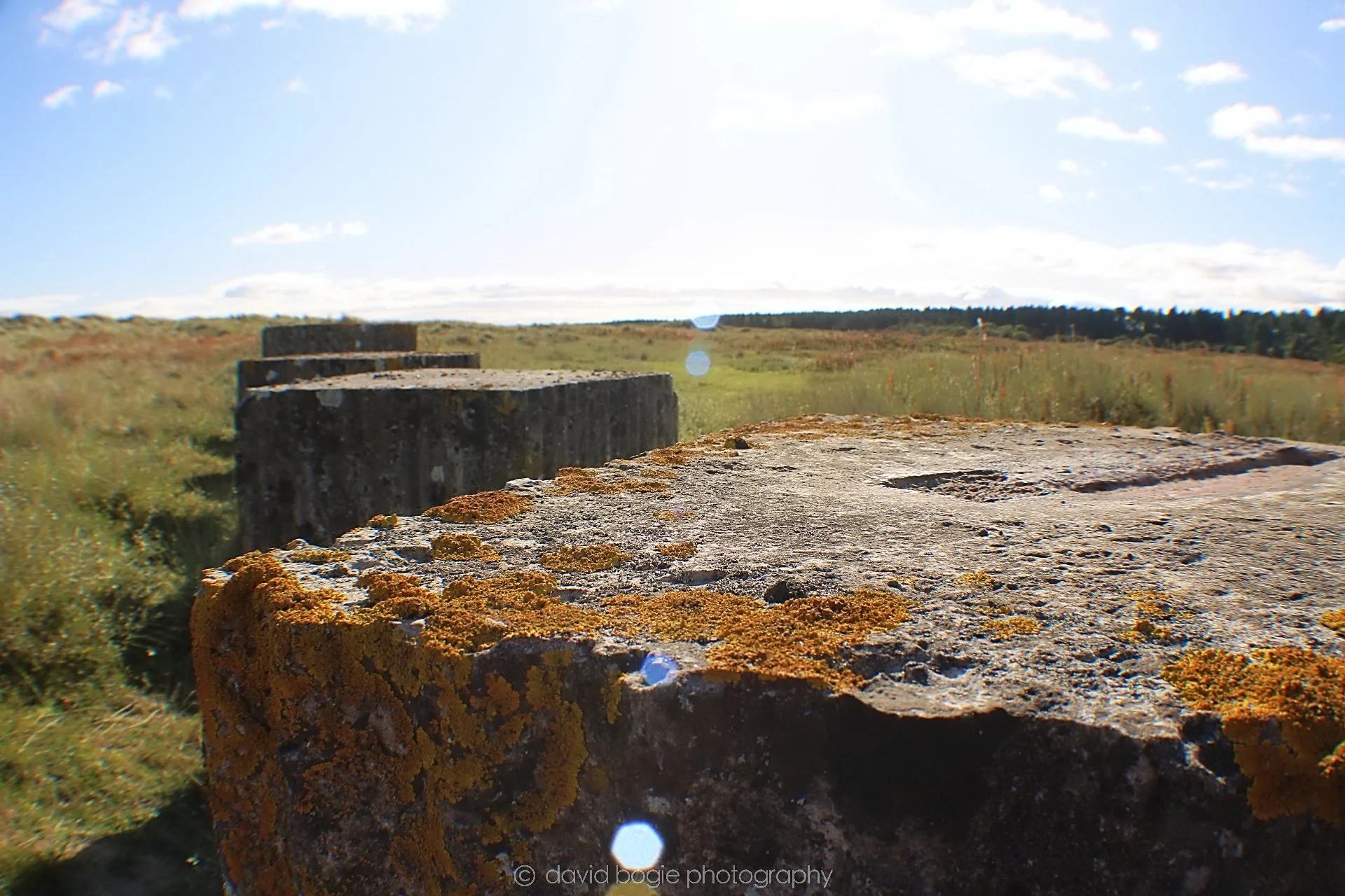 20191002 133548 Tentsmuir 0023.jpg