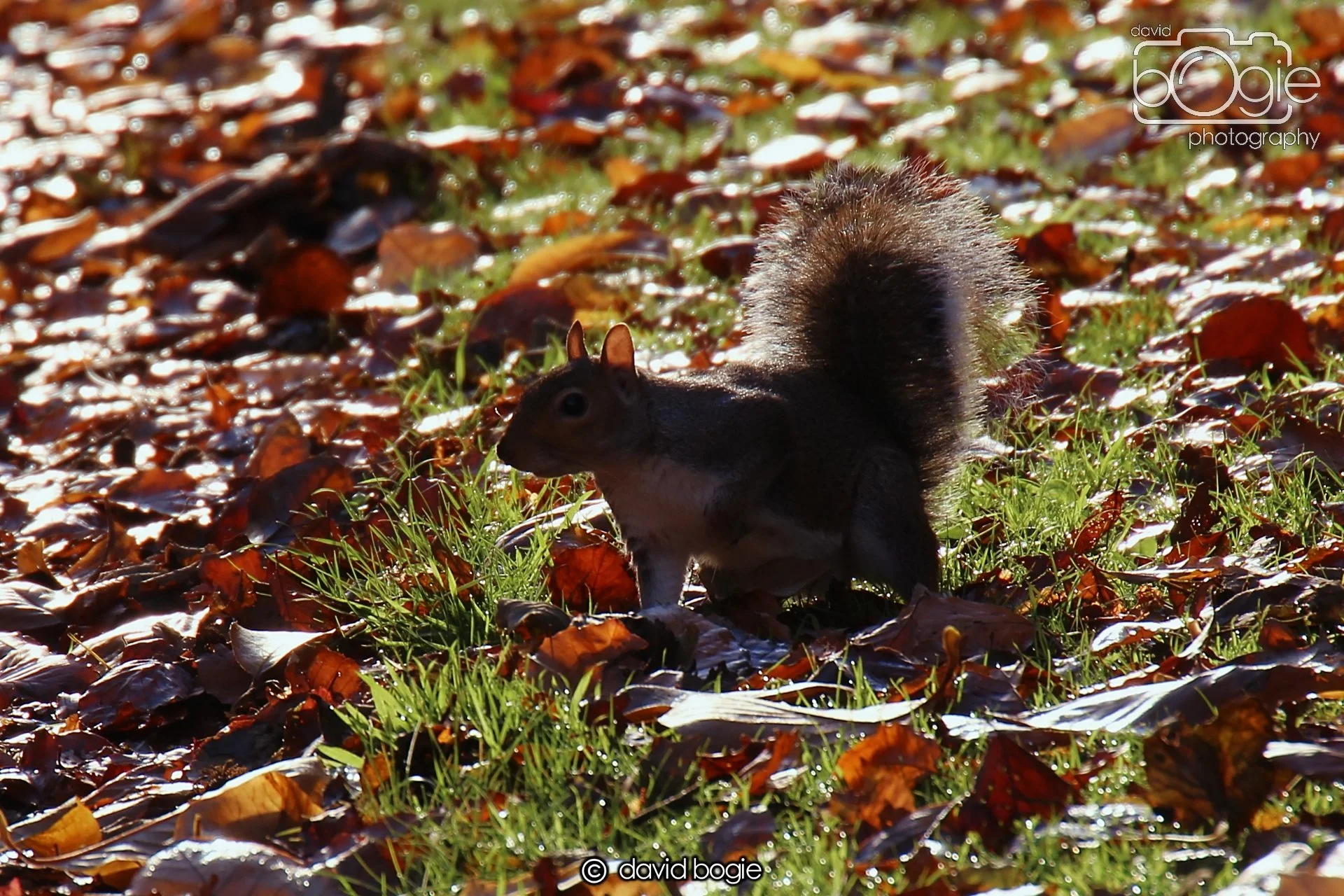 20231107 Beveridge Park 0289.jpg