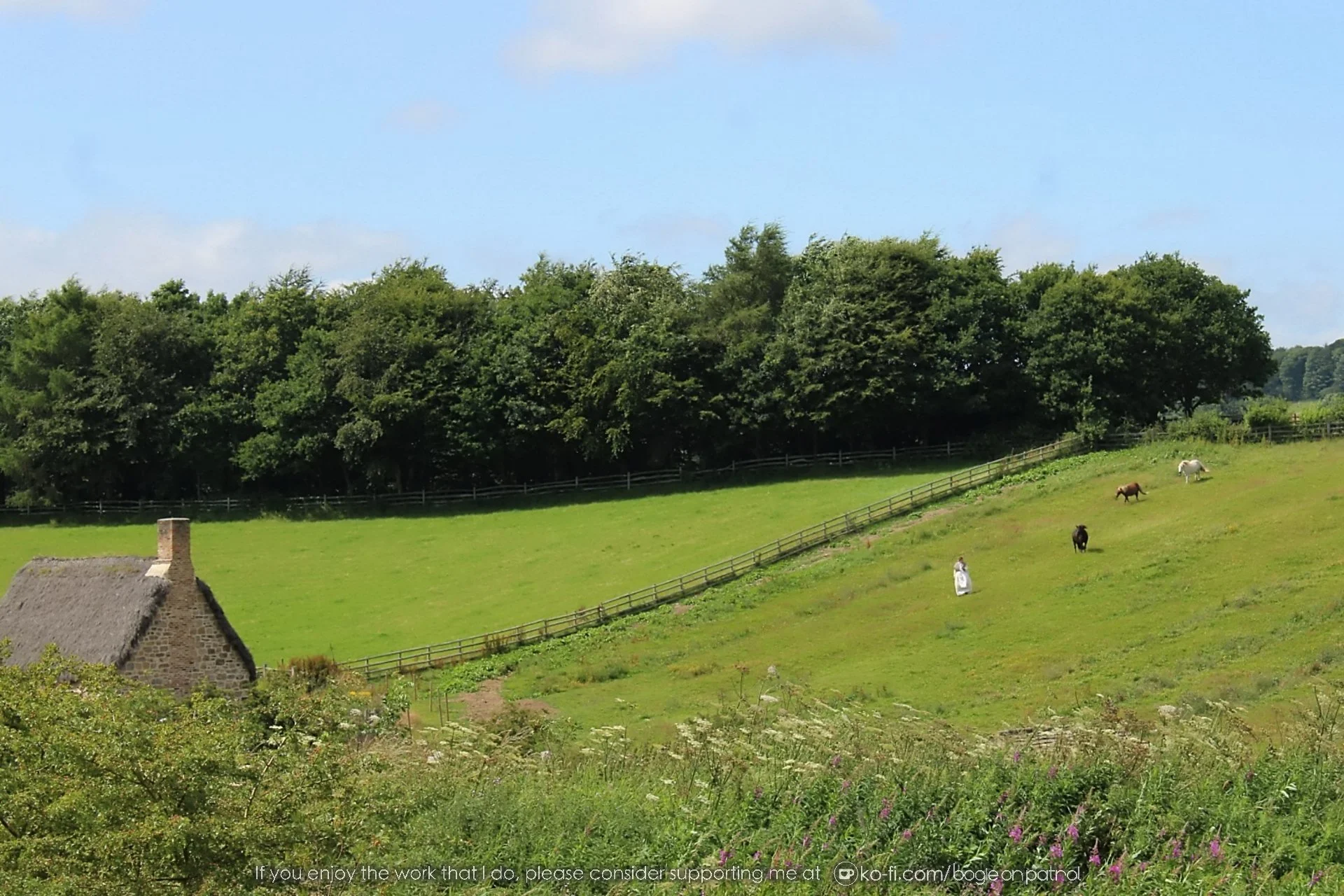 20190722 144951 Beamish .jpg