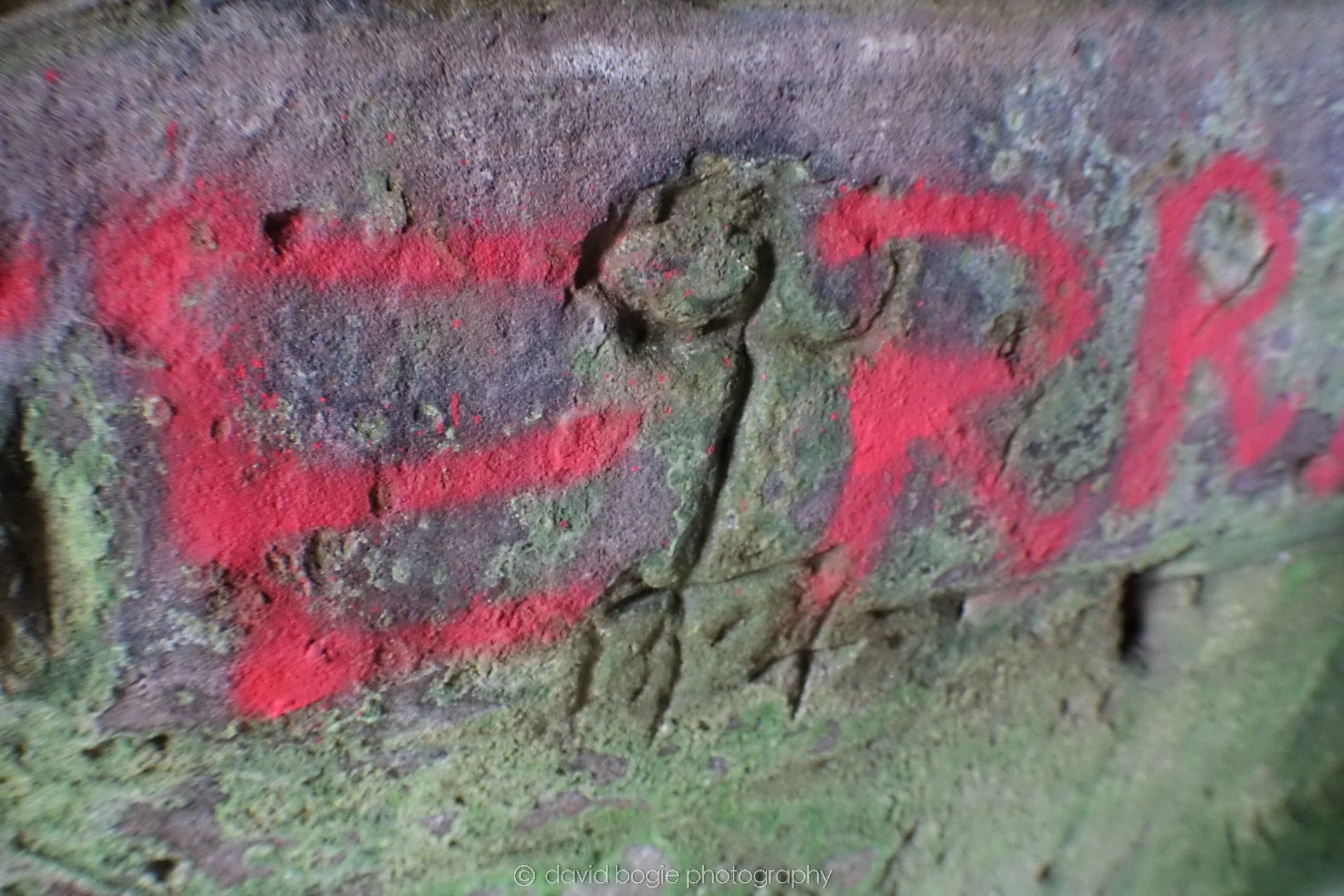 20190926 111800 Wemyss Caves 0032.jpg