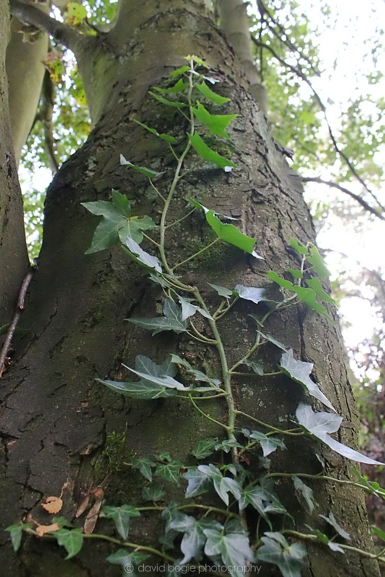 20190919 114438 Dunnikier 0004.jpg