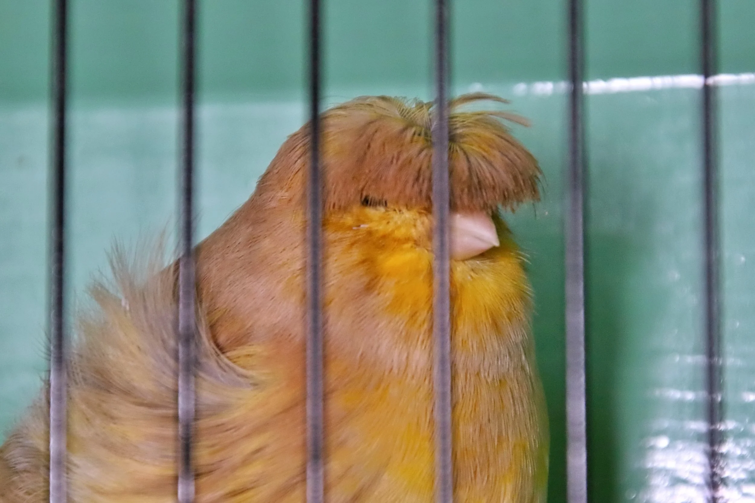 20251102 125621 Markinch CBS  0637.JPG