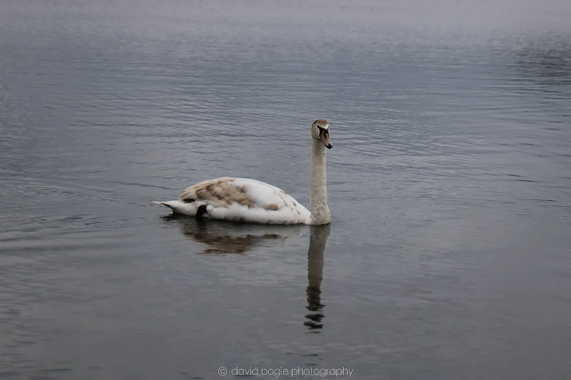 YEAR20220426 Lochore 2.jpg