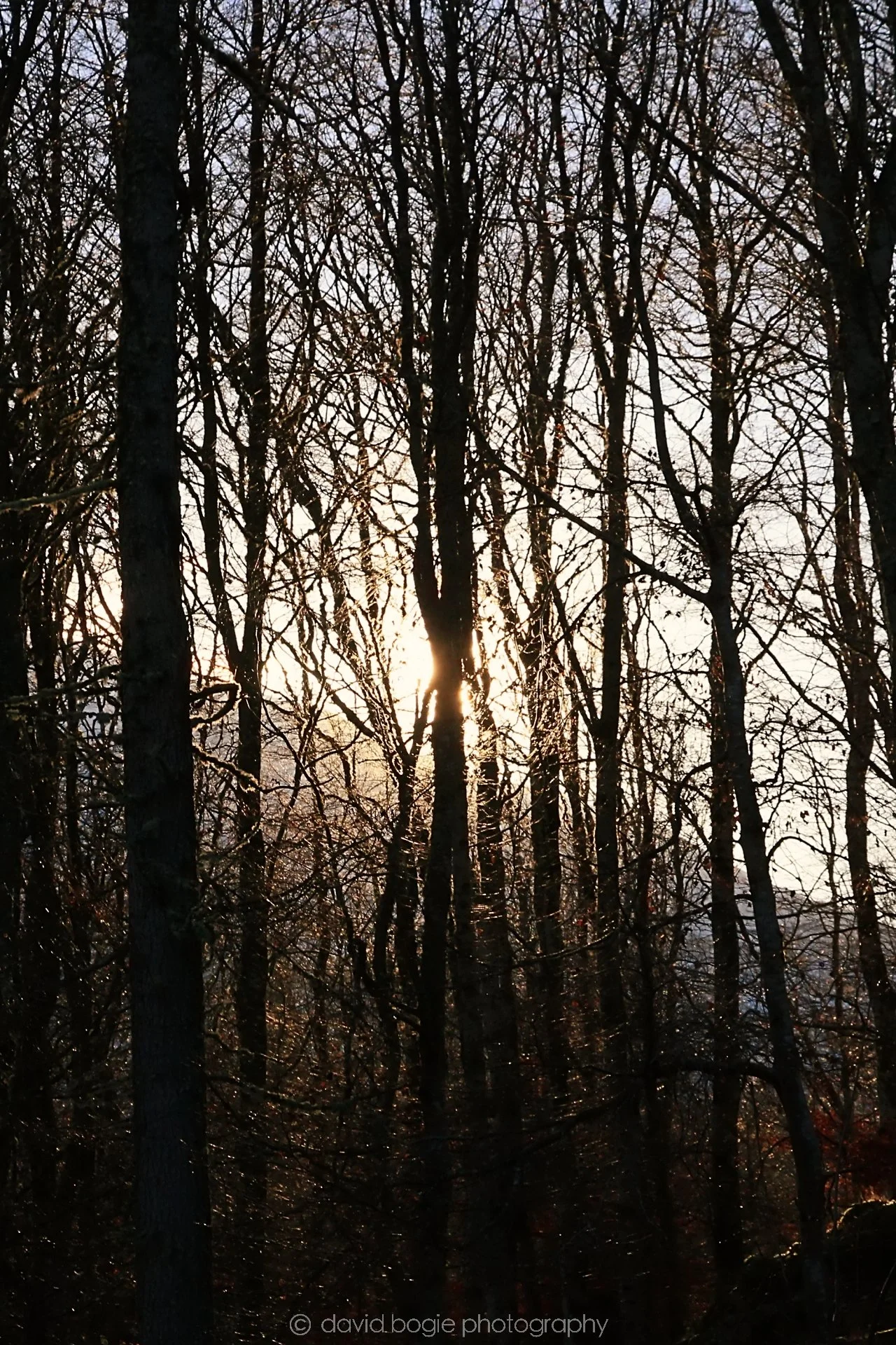 YEAR20221215 00084 Aberfeldy.jpg