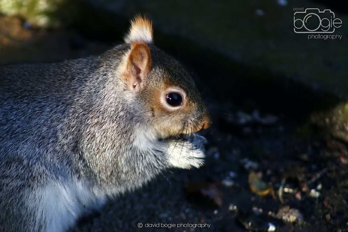 20251231 131130 Silverburn 0070.JPG