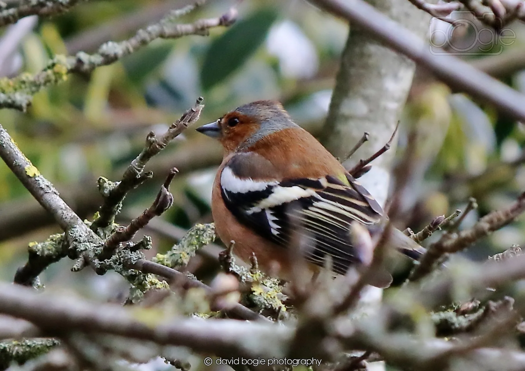 20260326 123403 Silverburn 0486.jpg