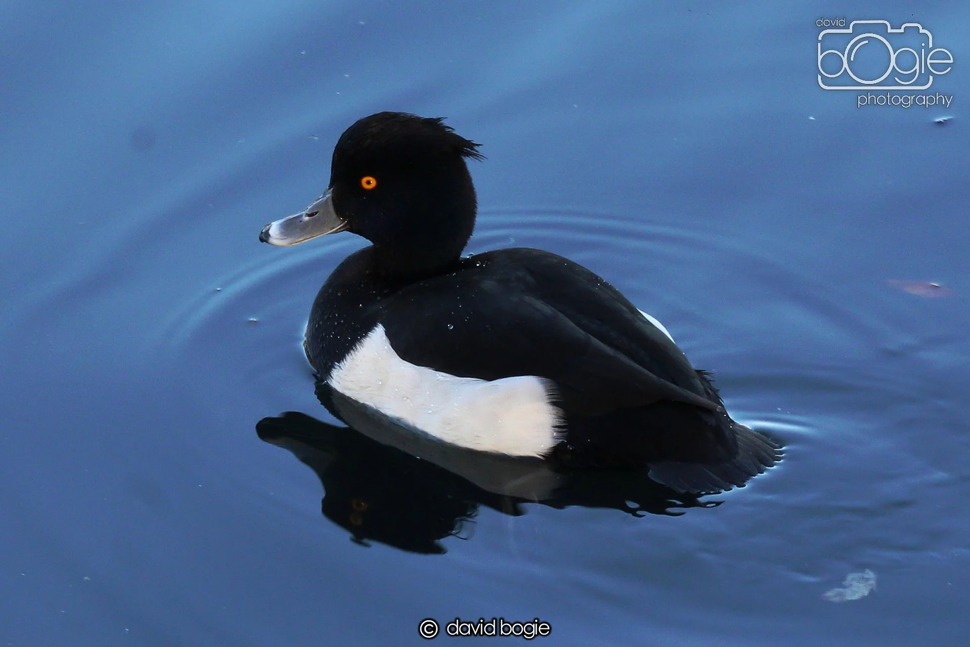 20191130 122512 Beveridge 0004.jpg