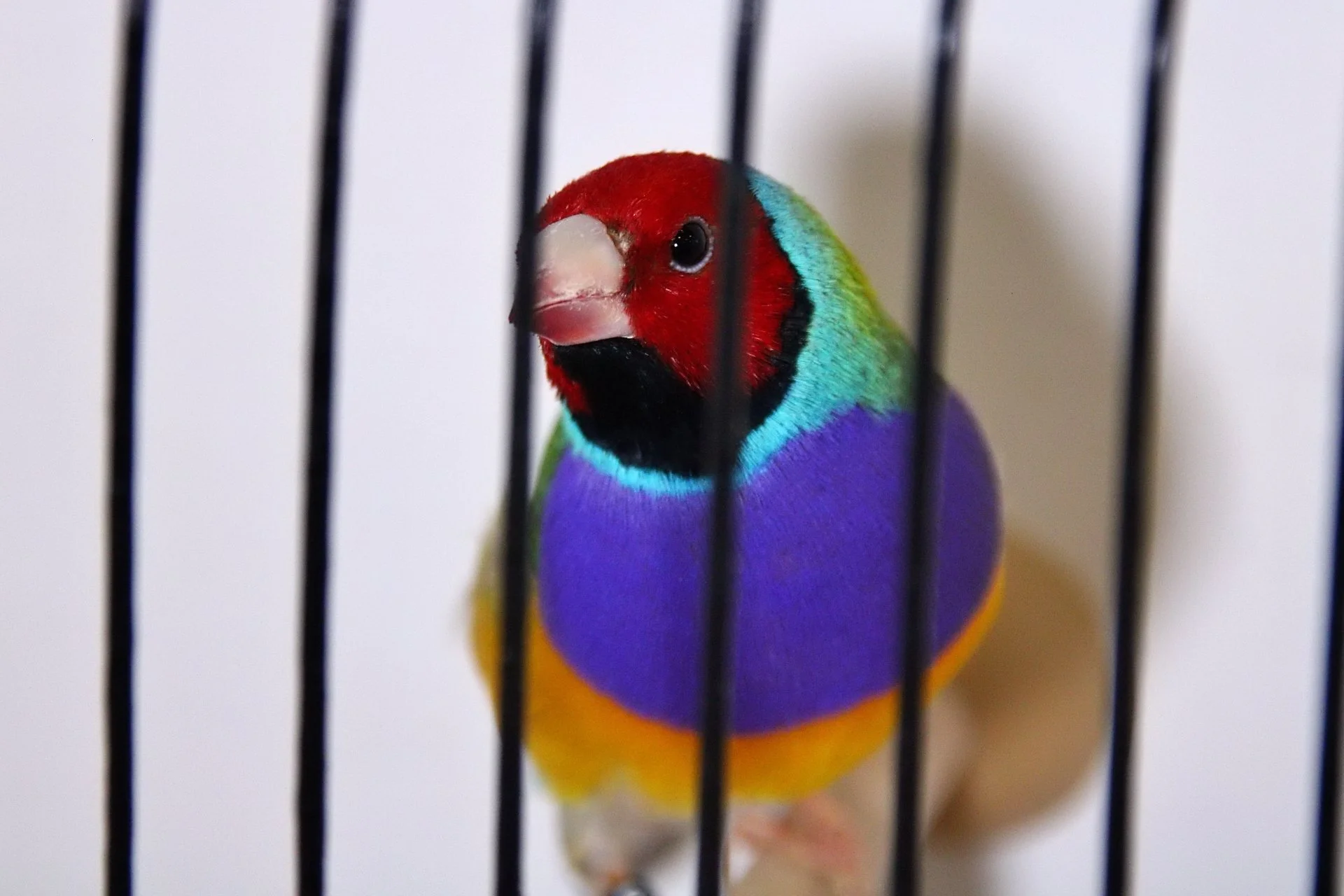 20241103 130844 MCBS Show 0476.JPG