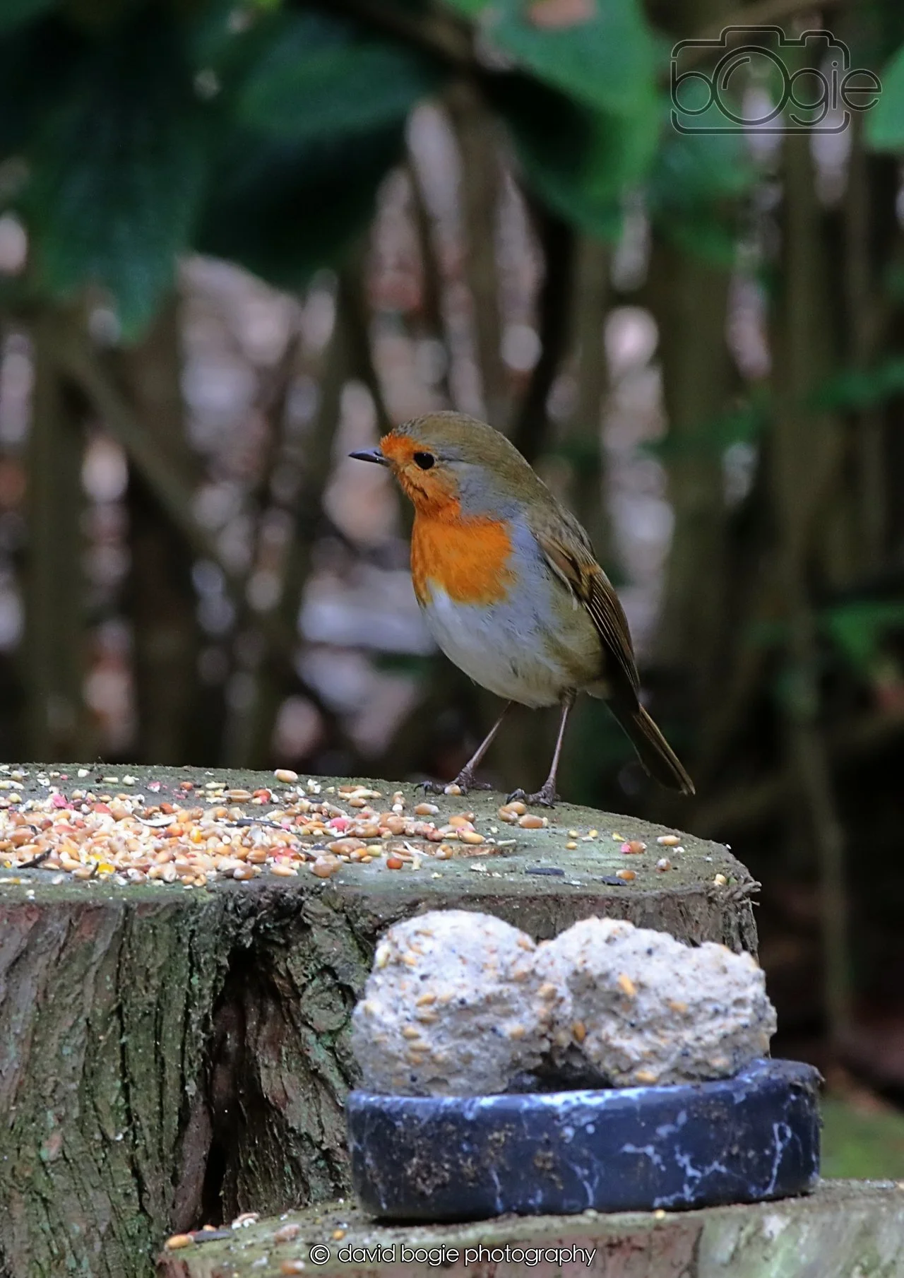 20260403 124954 Dunnikier 0226.jpg