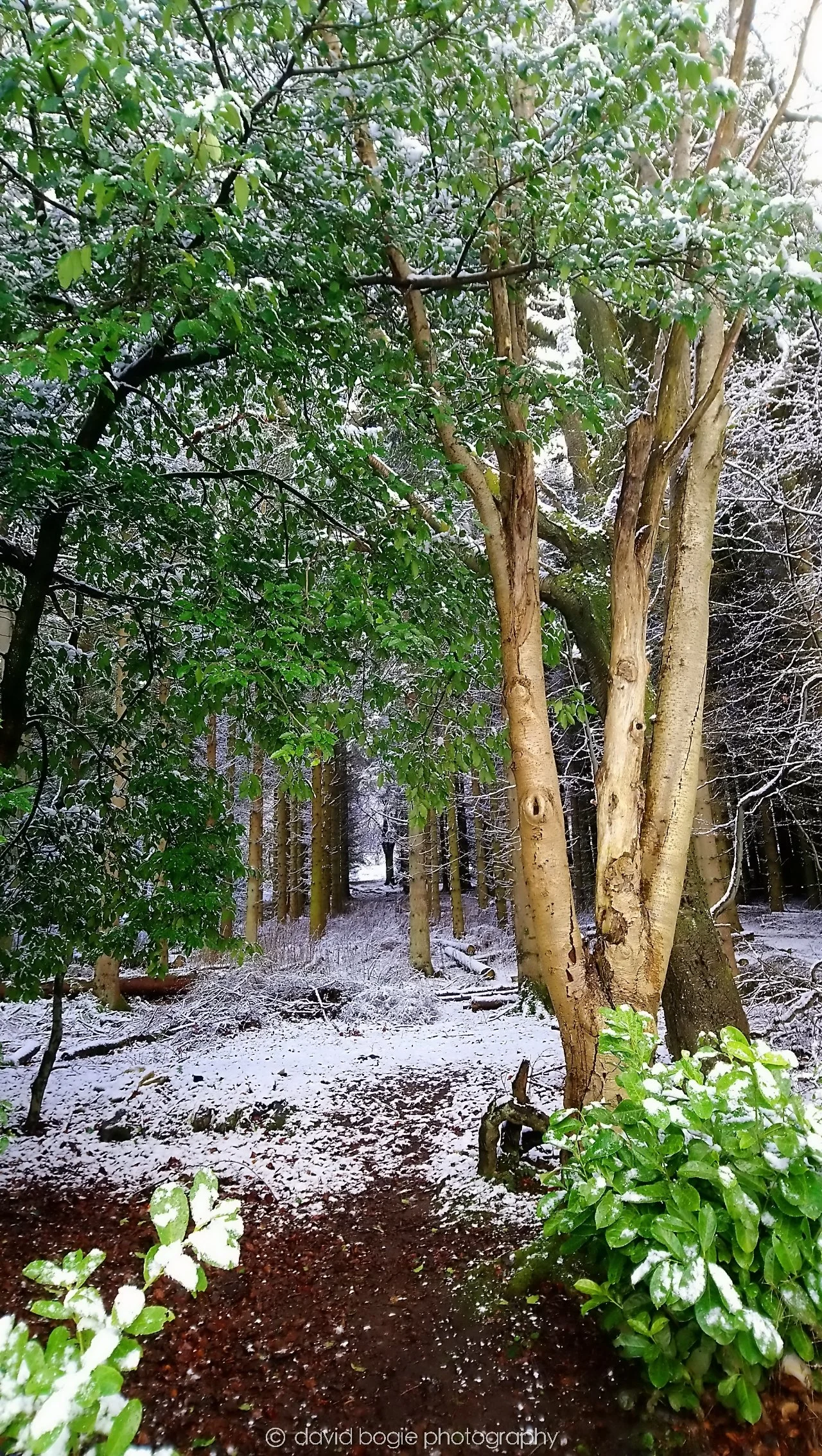 YEAR20180116 114610 Bangour Village .jpg