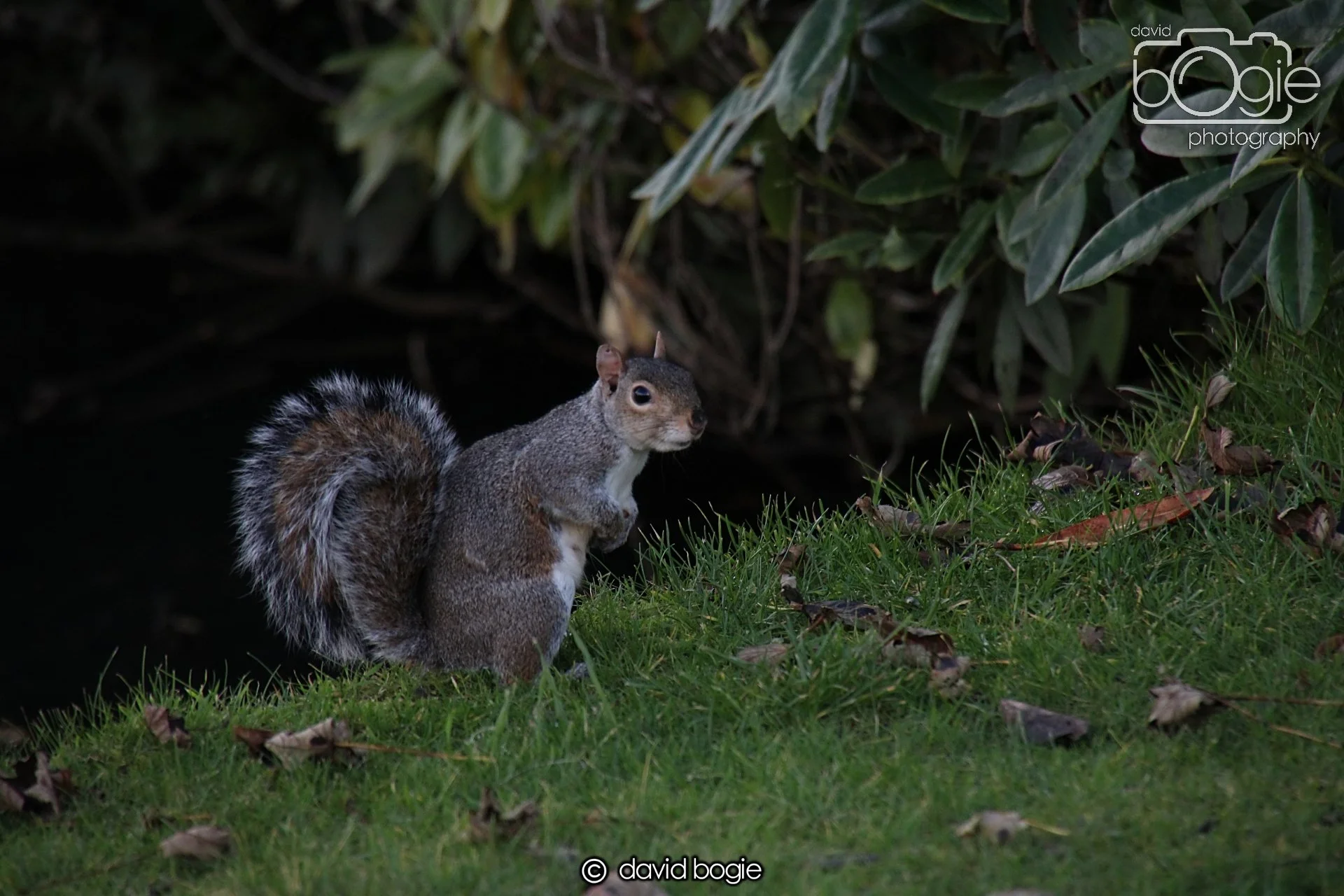 20231107 Beveridge Park 0457.jpg