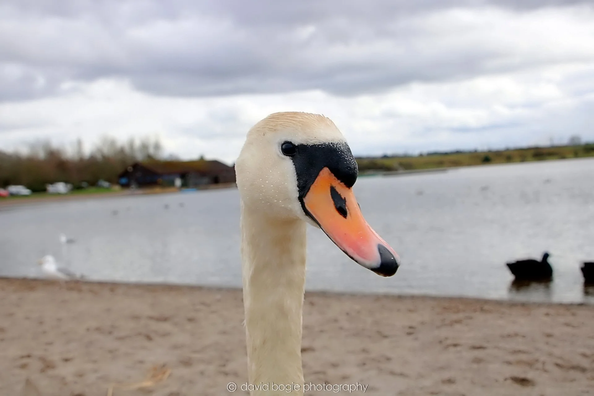 YEAR20240316 145319 Lochore Meadows 0021.jpg