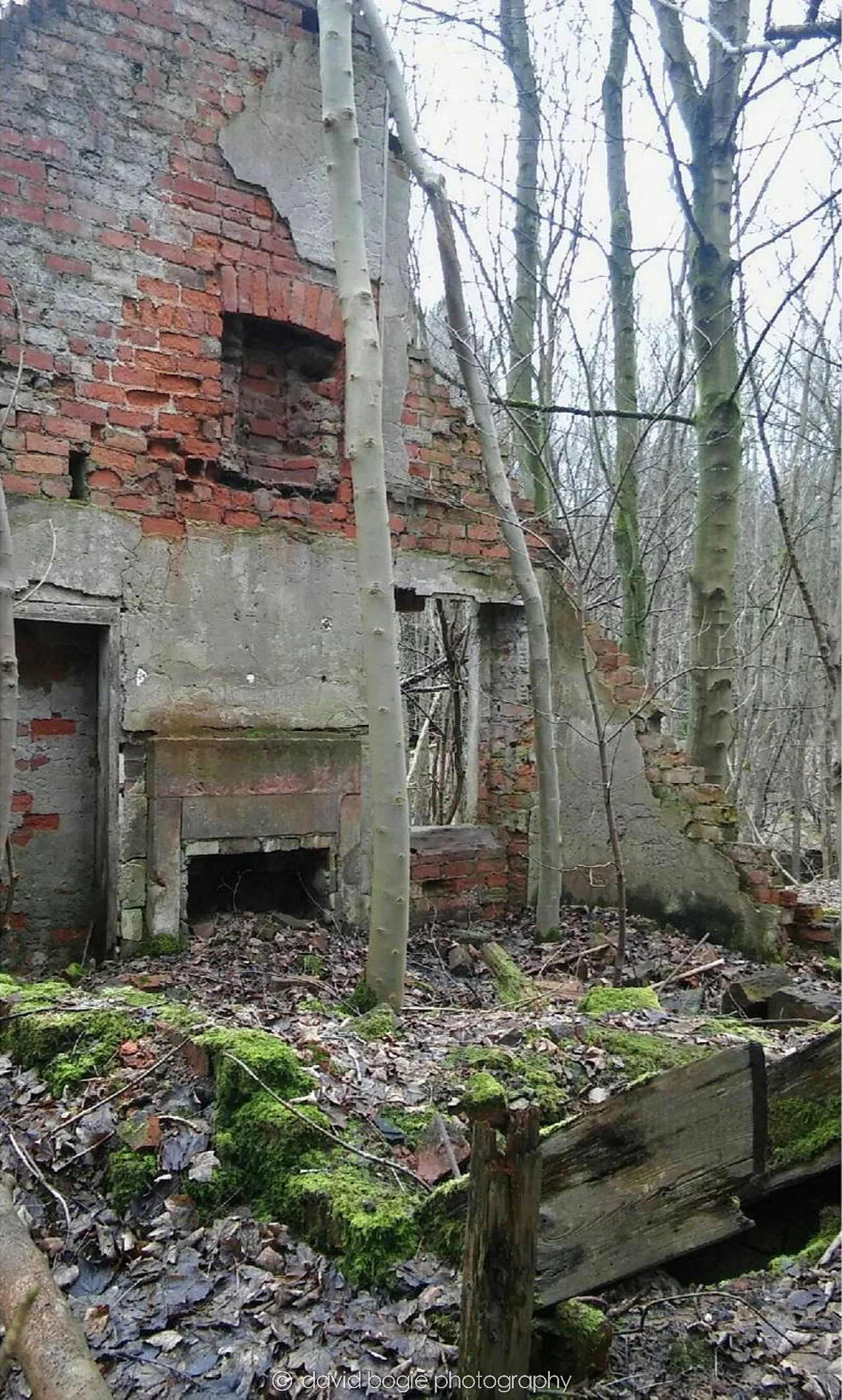 20170224 000000 Wemyss 0010.jpg